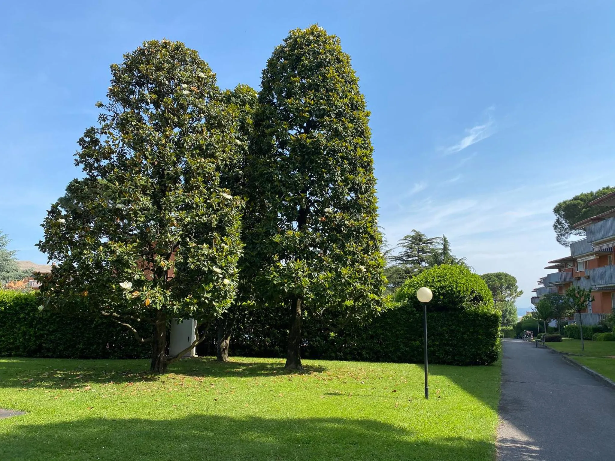 Garden in Residenza Cappuccini