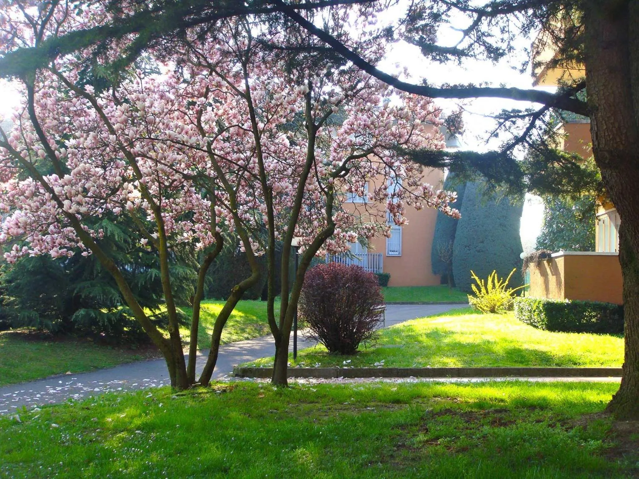 Spring in Residenza Cappuccini