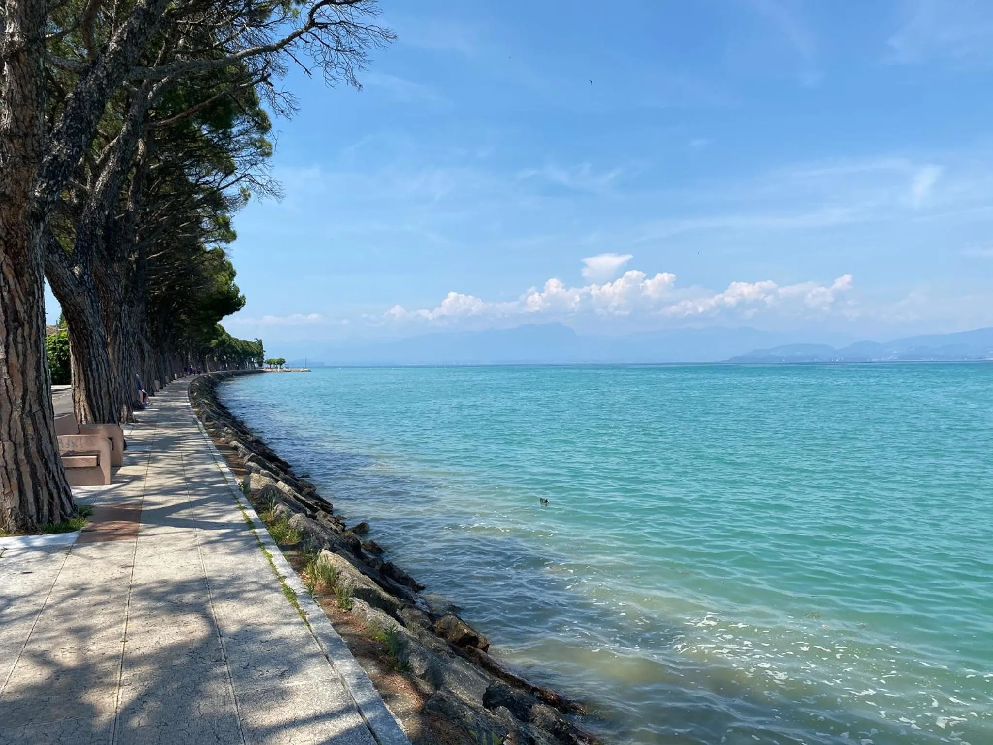 Nearby landmark in Residenza Cappuccini