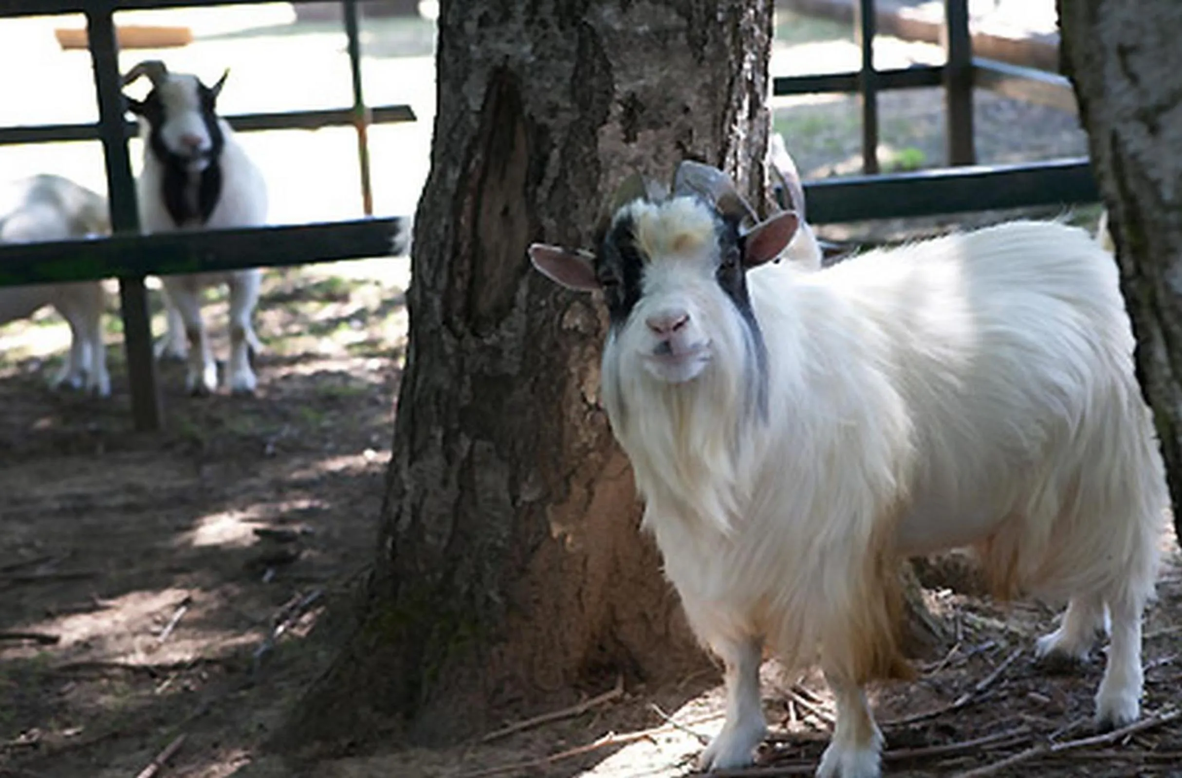 Other in Logis Hôtel Restaurant La Vieille Ferme, Mâcon Nord