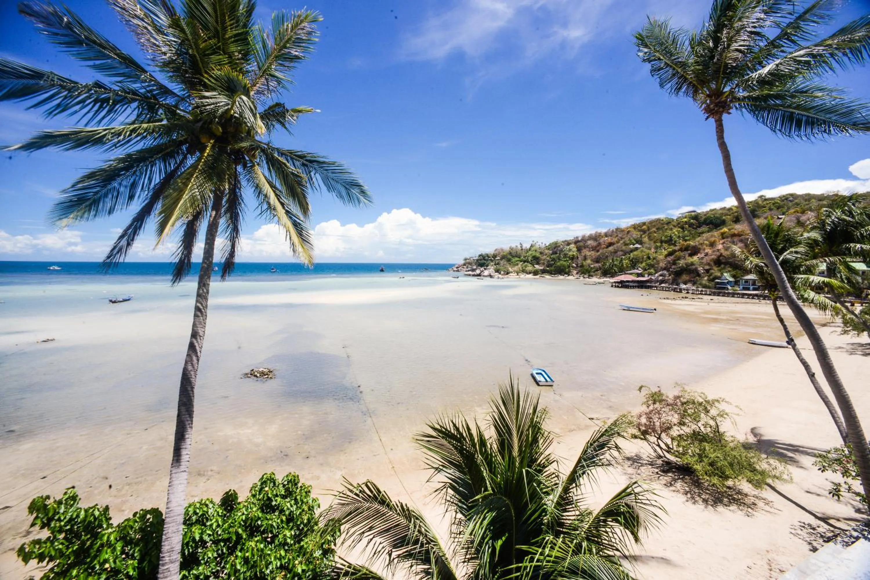 Beach in Carabao Diving Koh Tao