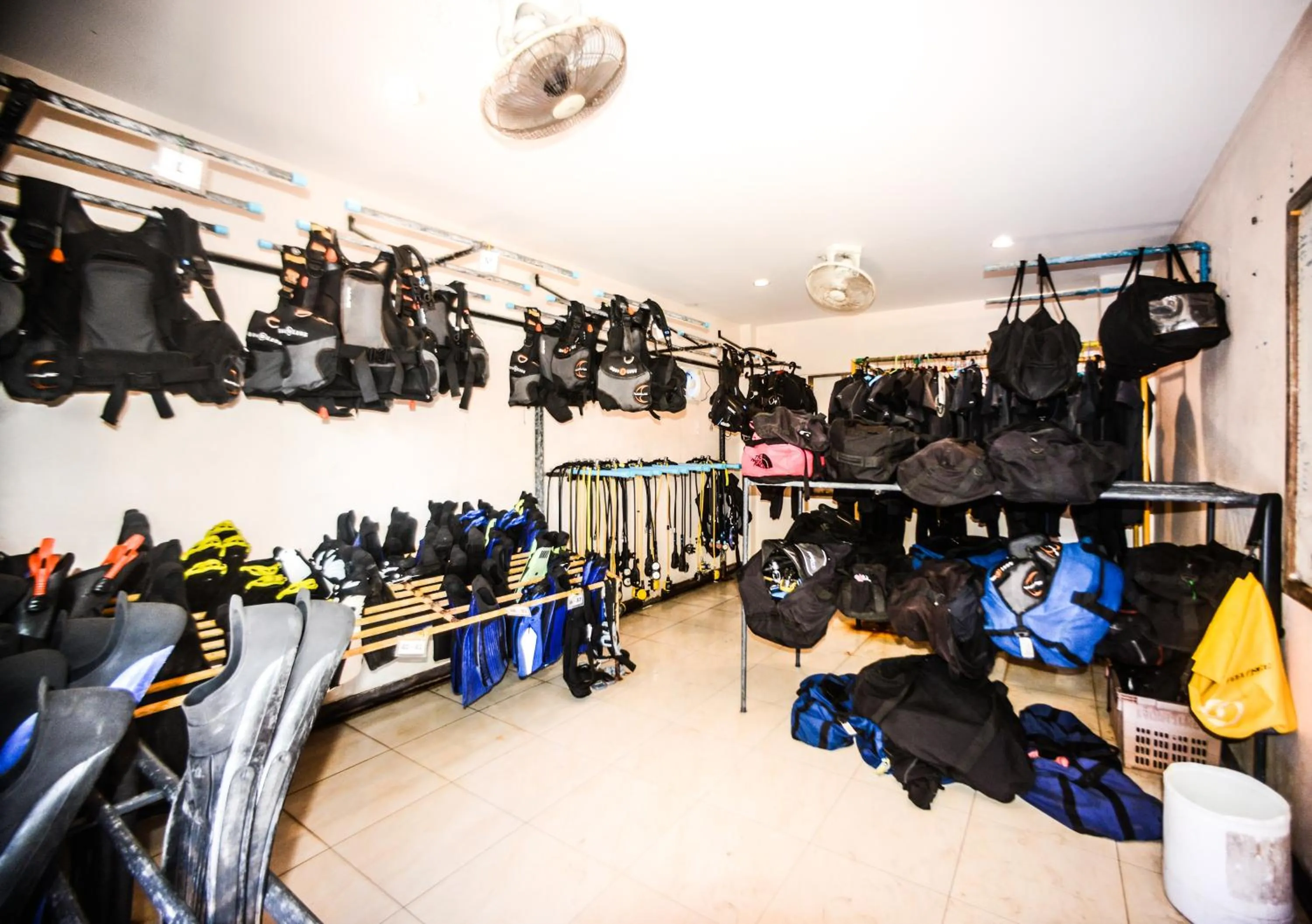 Diving in Carabao Diving Koh Tao