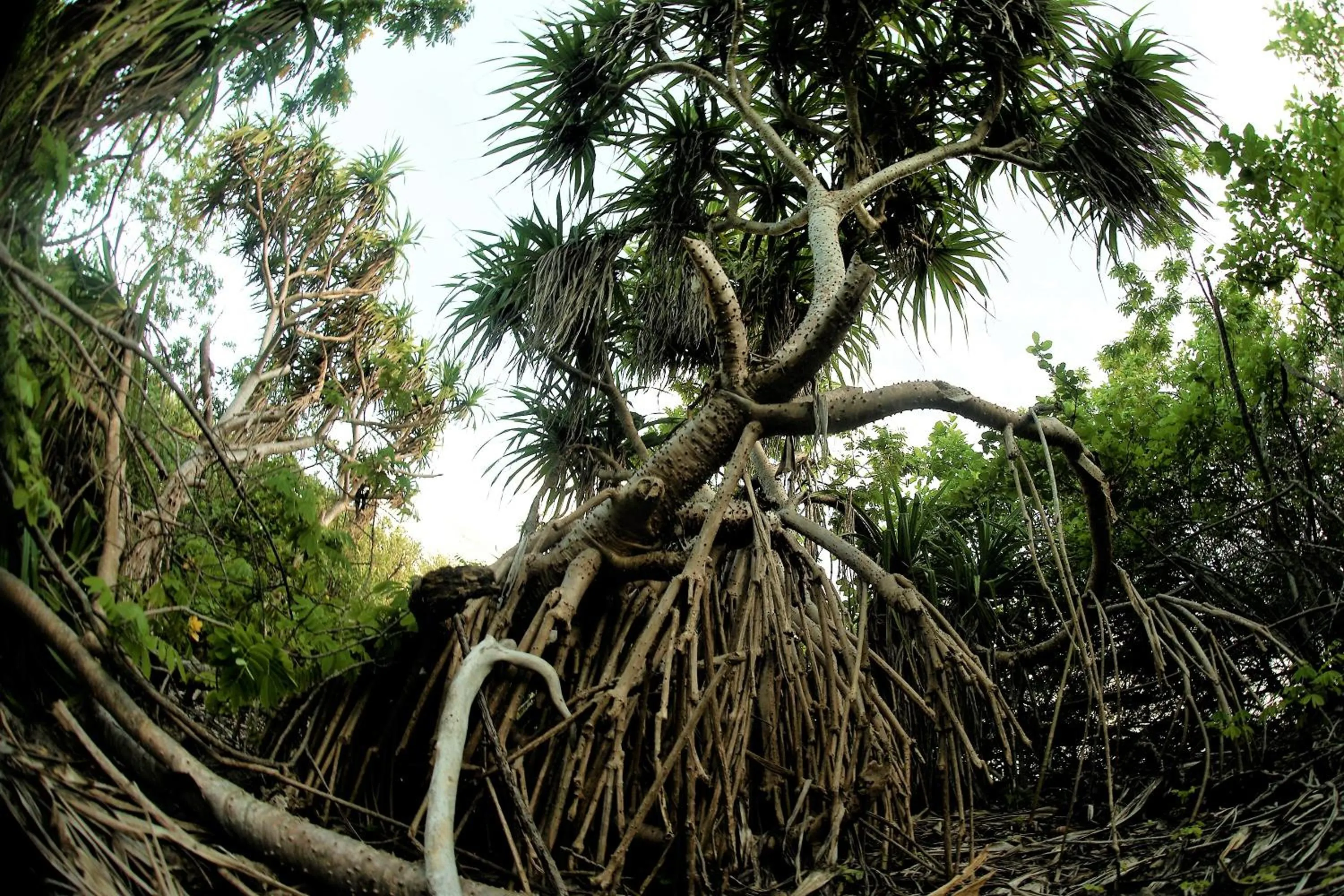 Nearby landmark in Annama Lodge and Dive
