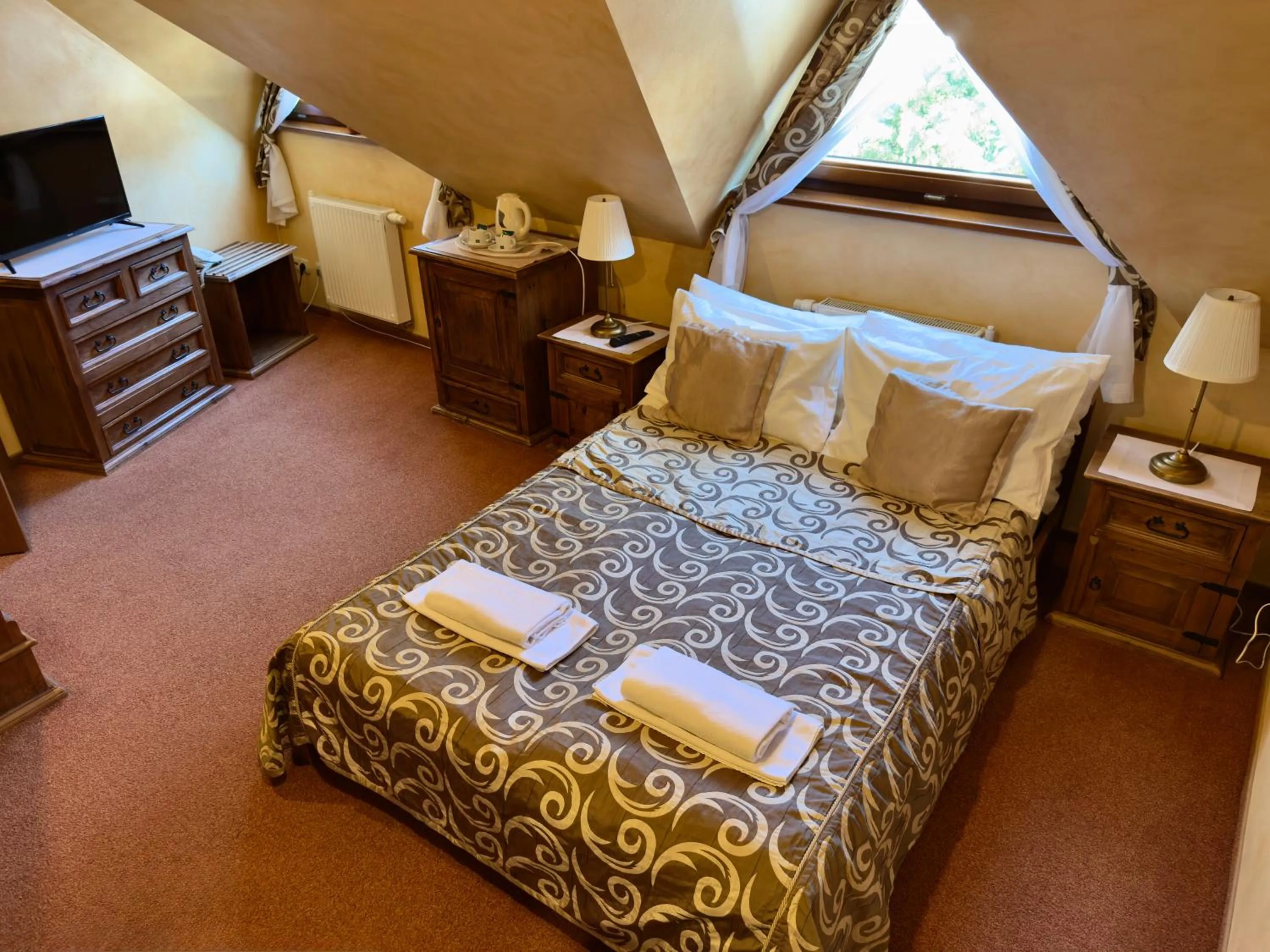 Double Room in Hotel Dwór Karolówka