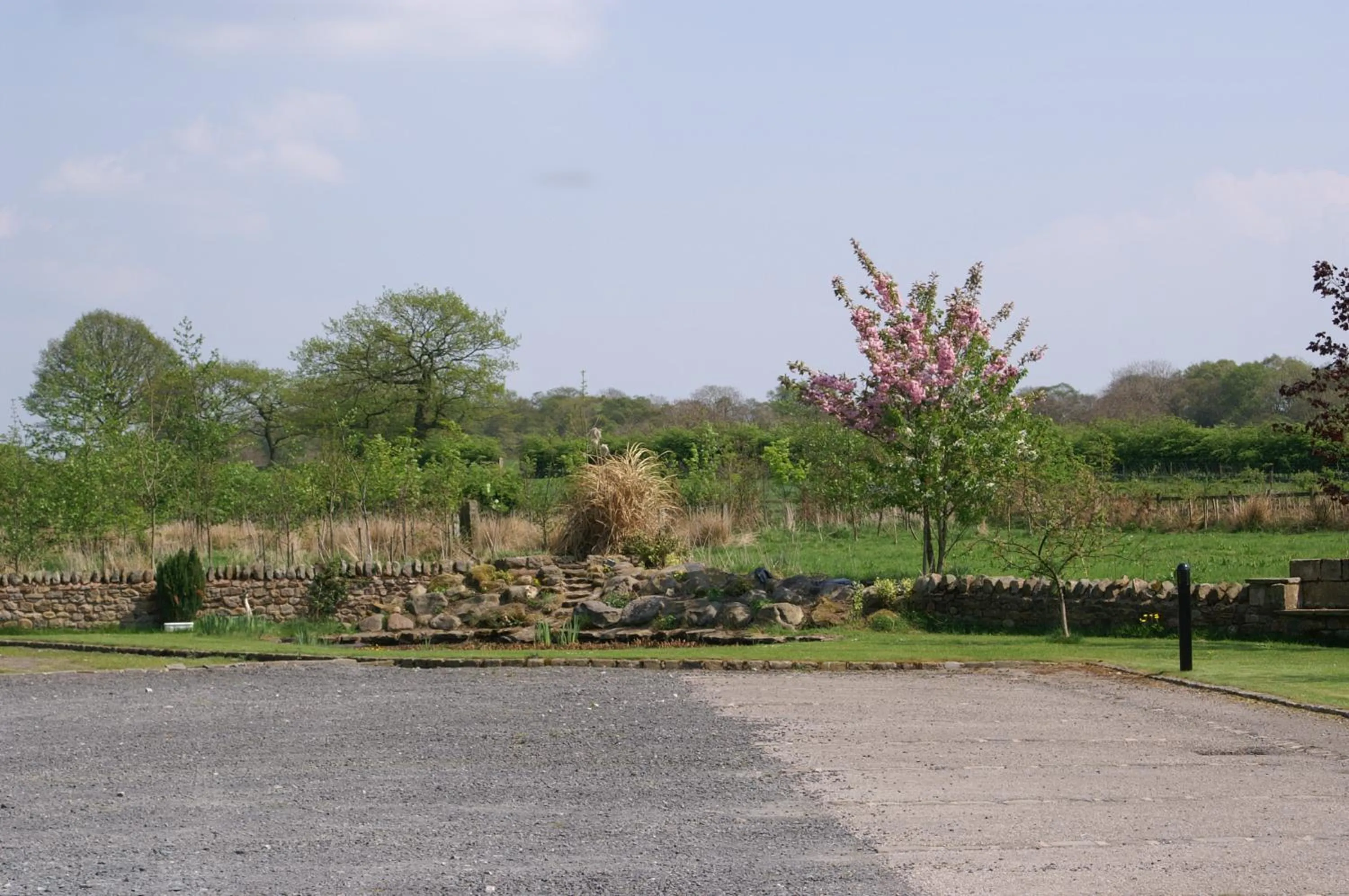 View (from property/room) in Middle Flass Lodge