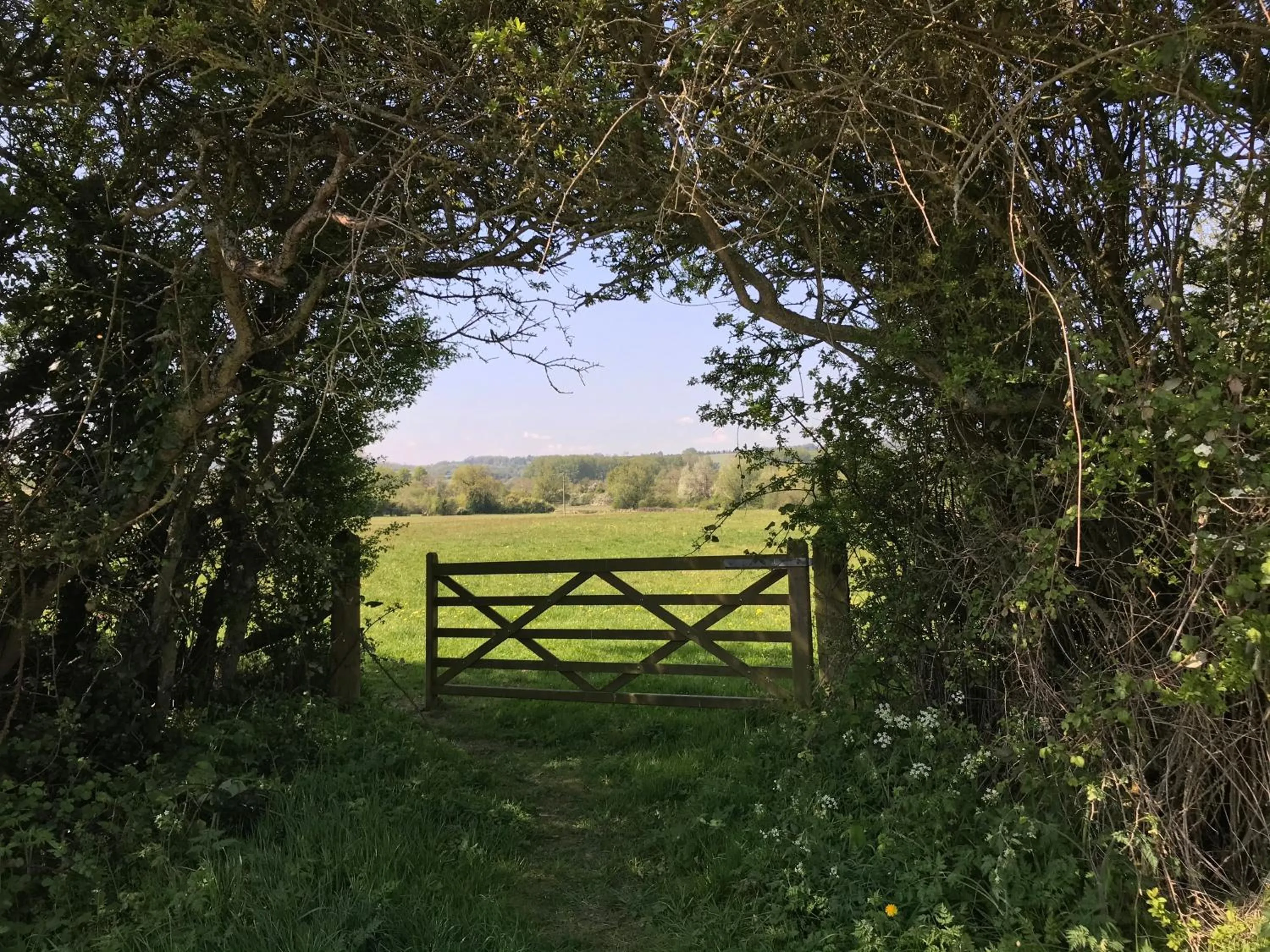 Hiking in Coombe House