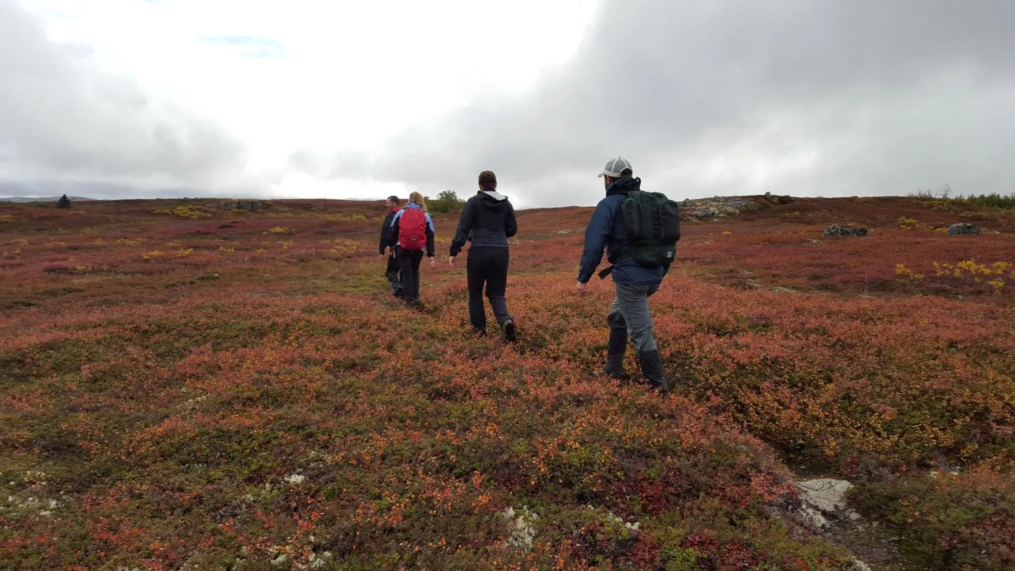 Hiking in Caribou Lodge Alaska