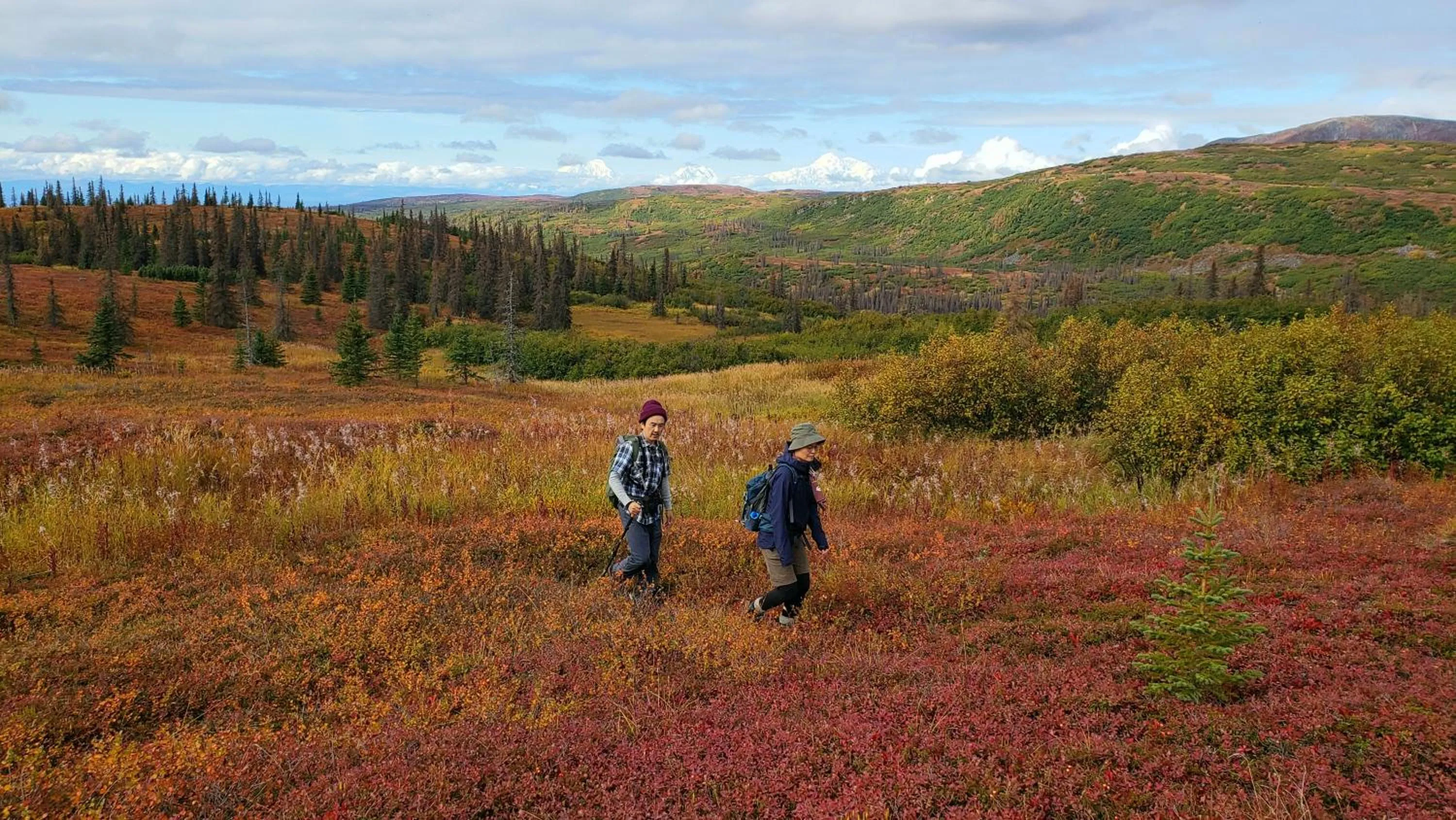 Caribou Lodge Alaska