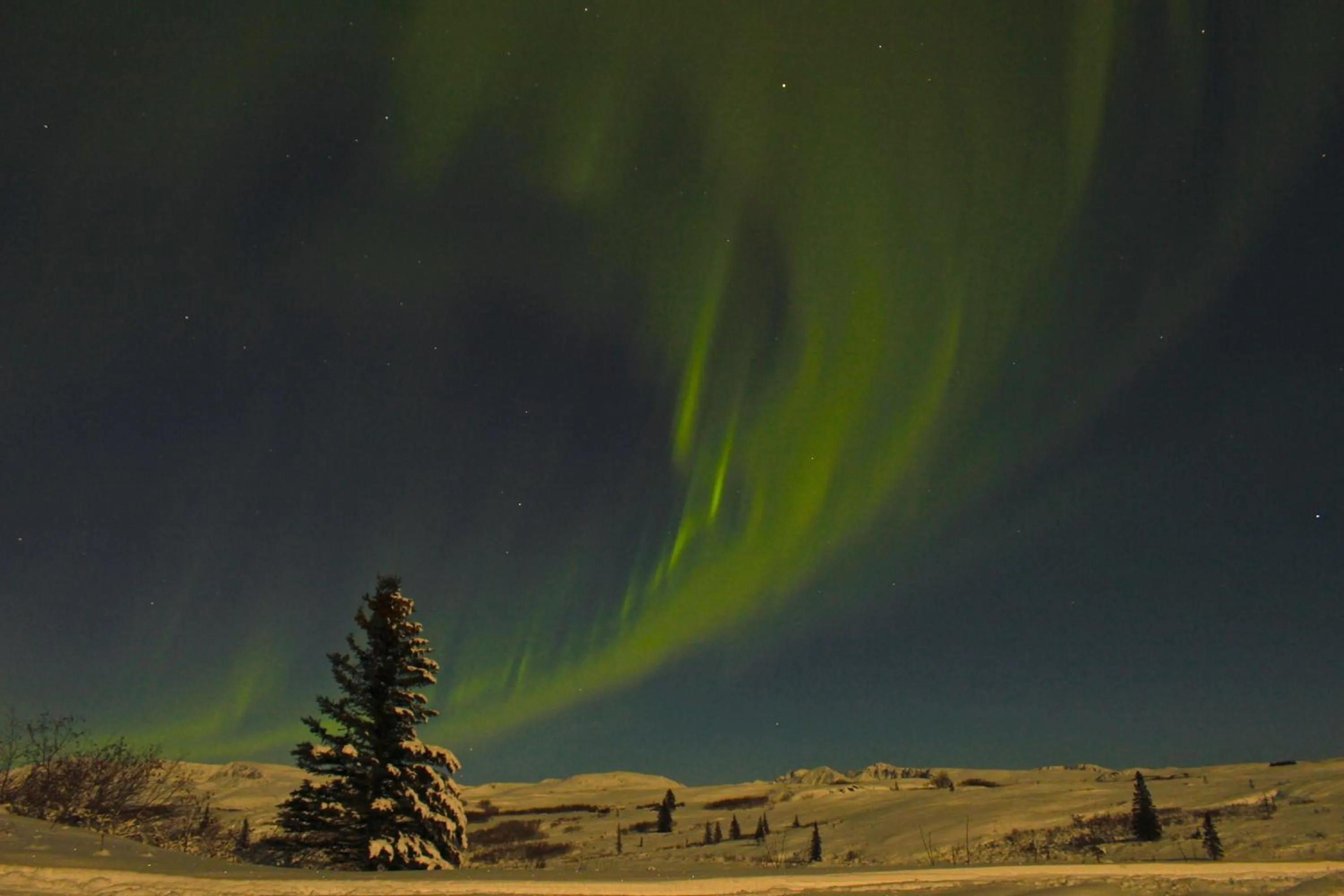 Caribou Lodge Alaska