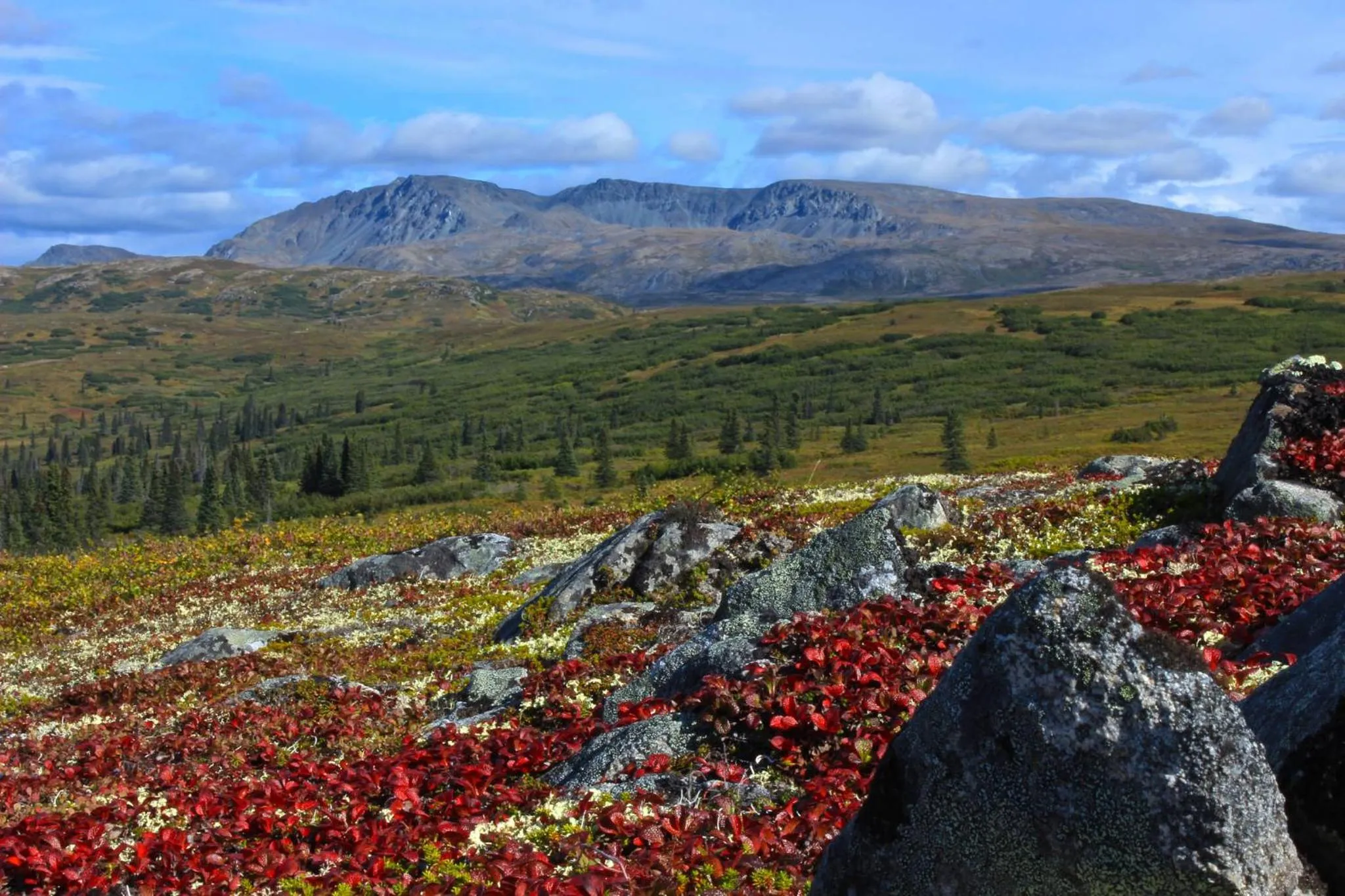 Day in Caribou Lodge Alaska