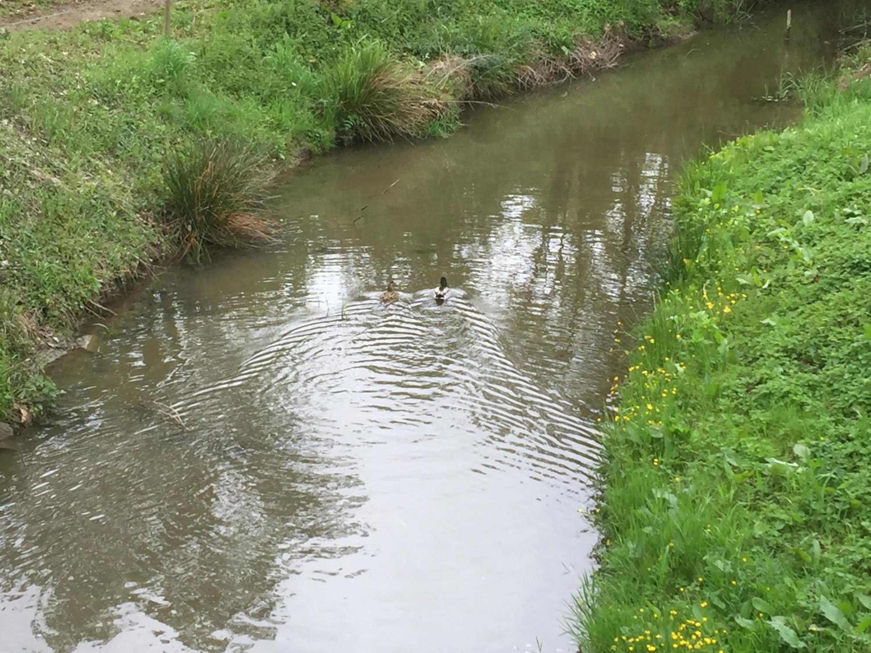 Garden in Le Moulin de Saint-Julien