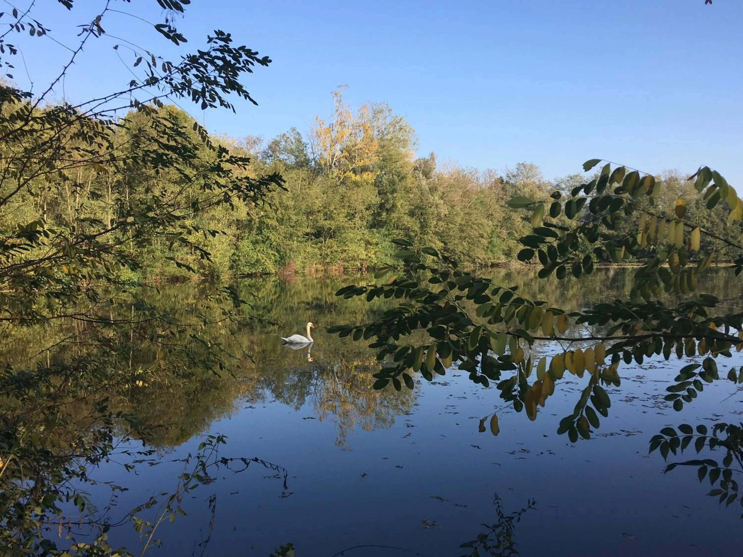 Fishing in Le Moulin de Saint-Julien