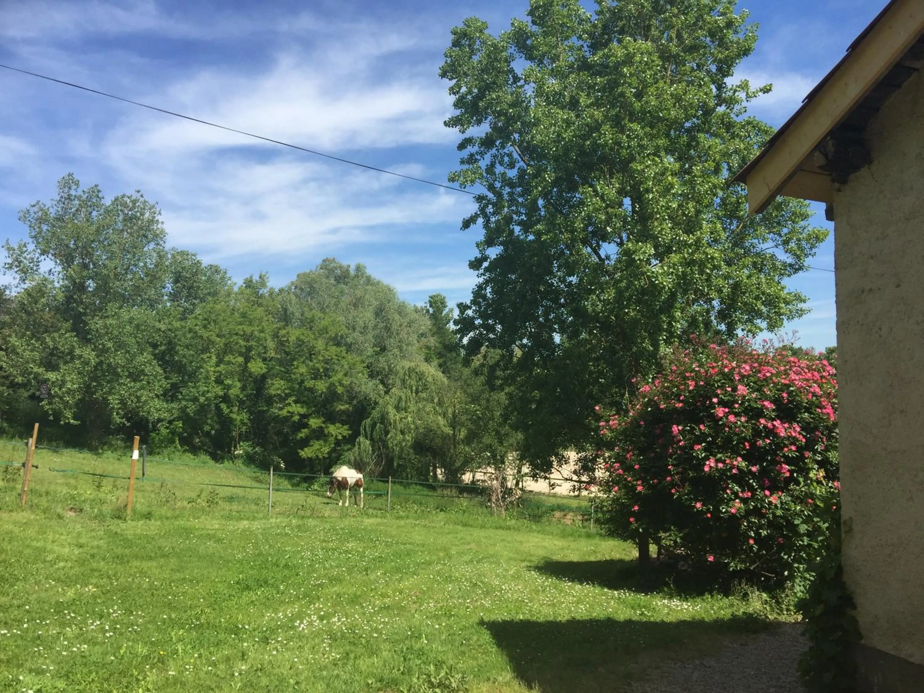 Garden in Le Moulin de Saint-Julien
