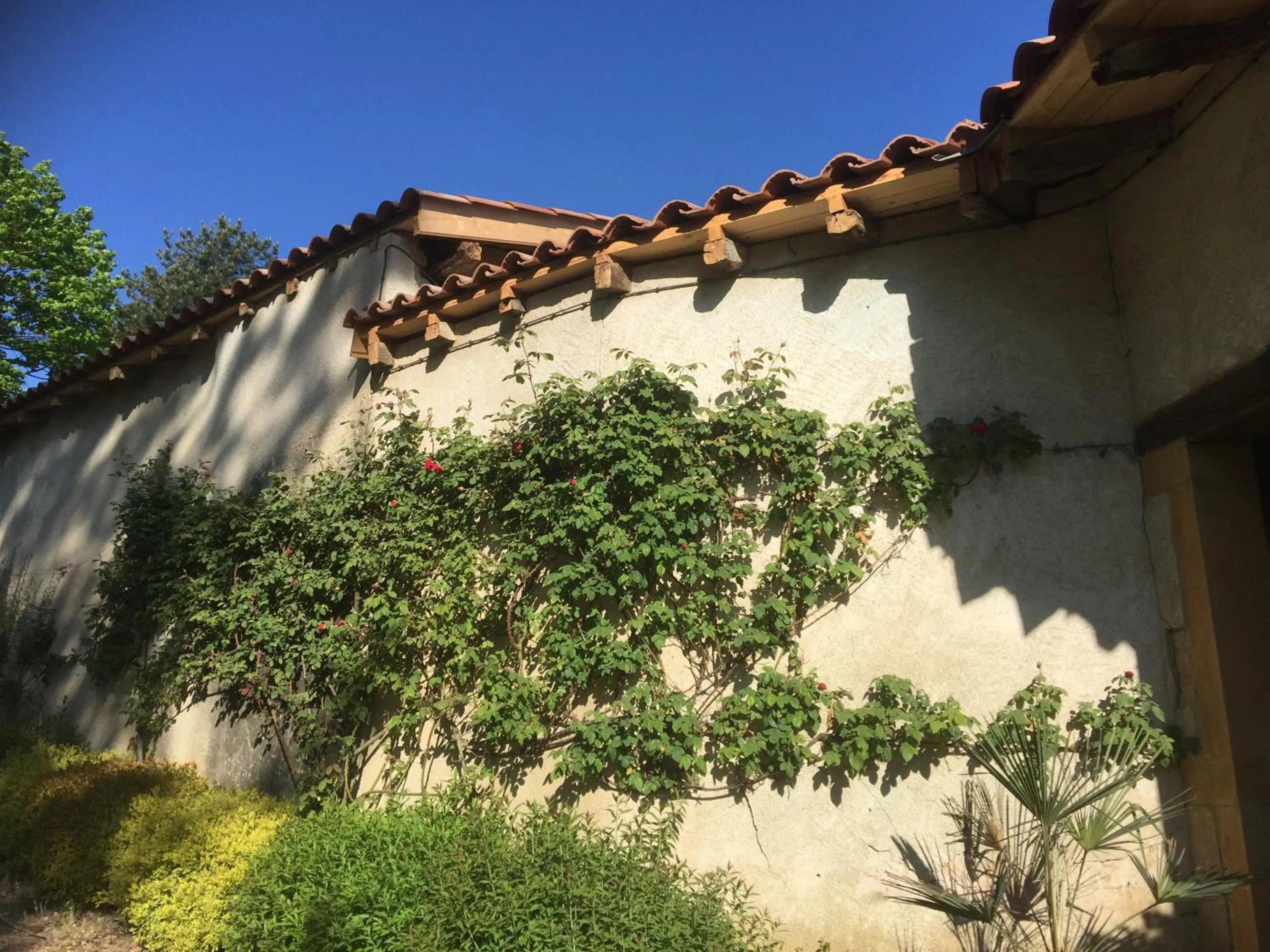 Property building in Le Moulin de Saint-Julien