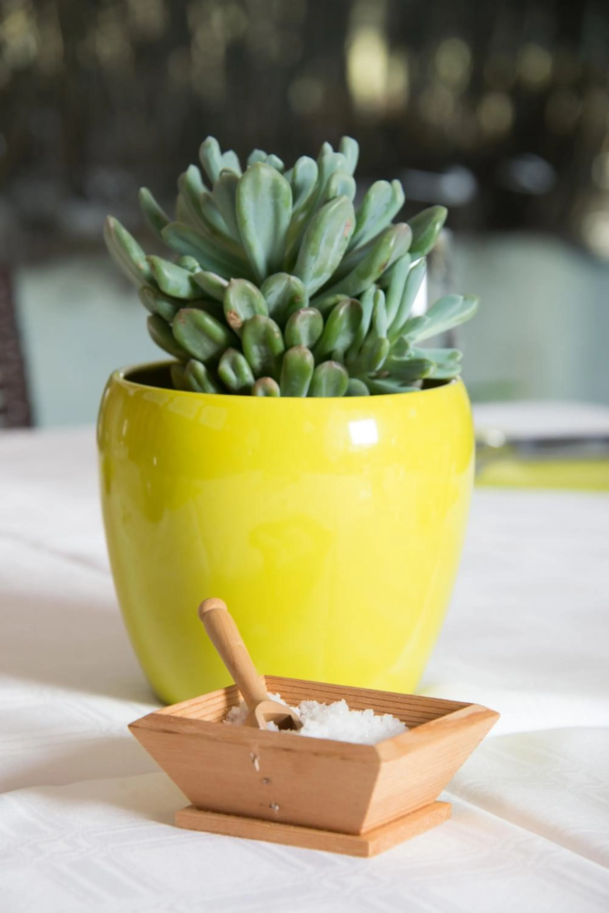 Food and drinks in Logis Les Cols Verts