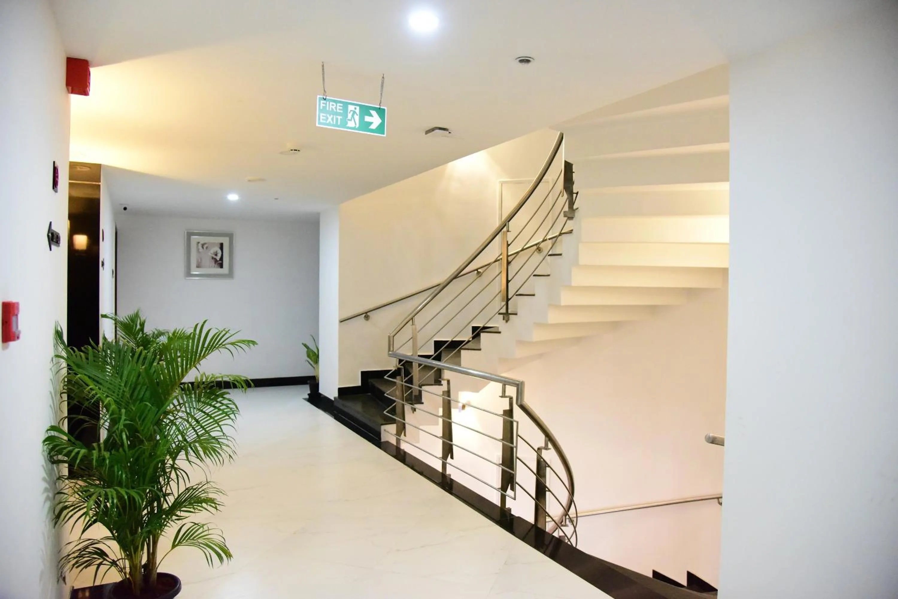 Balcony/Terrace in The Royal Comfort