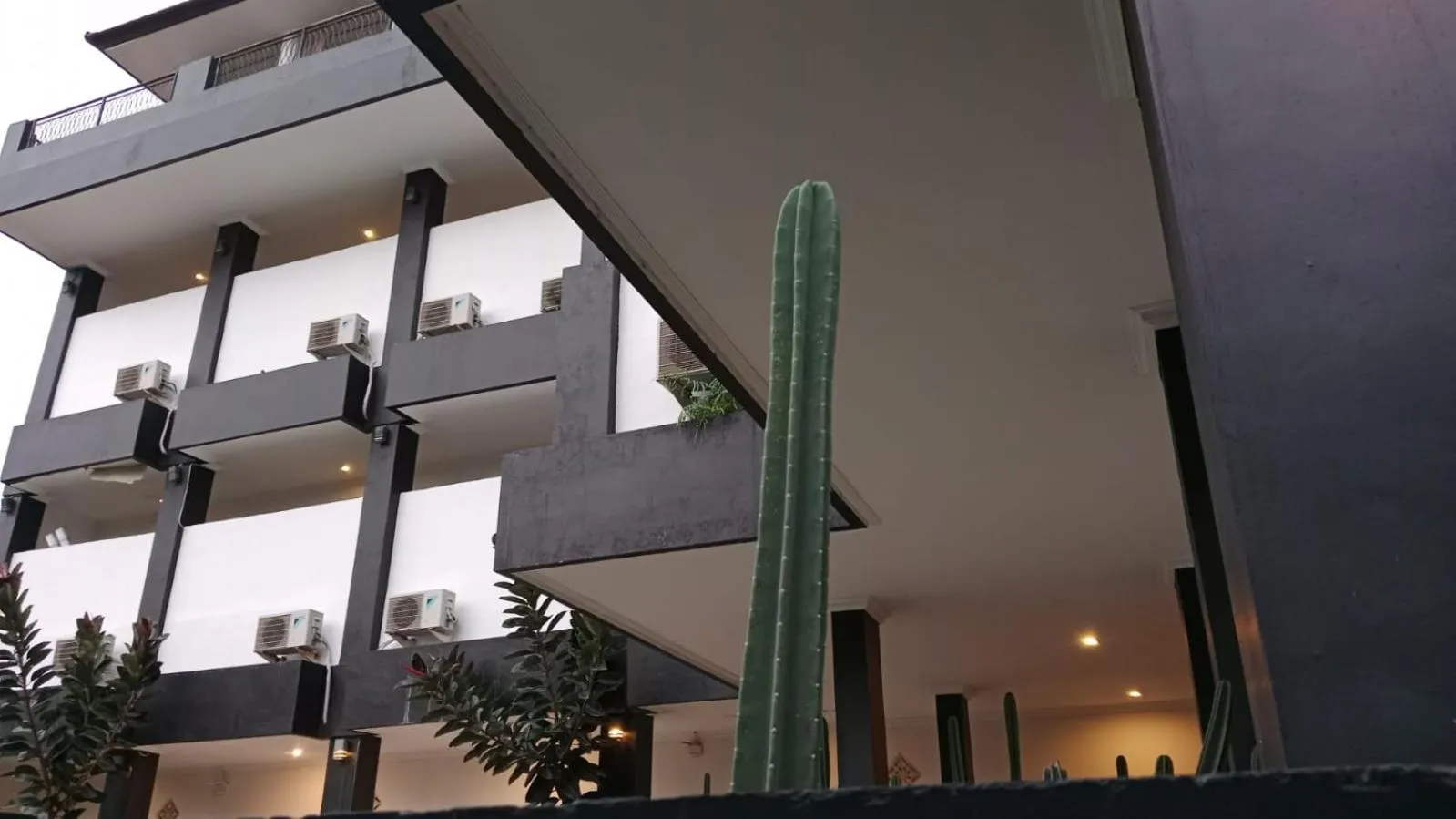 Property building in Nomad Hub Canggu Bali