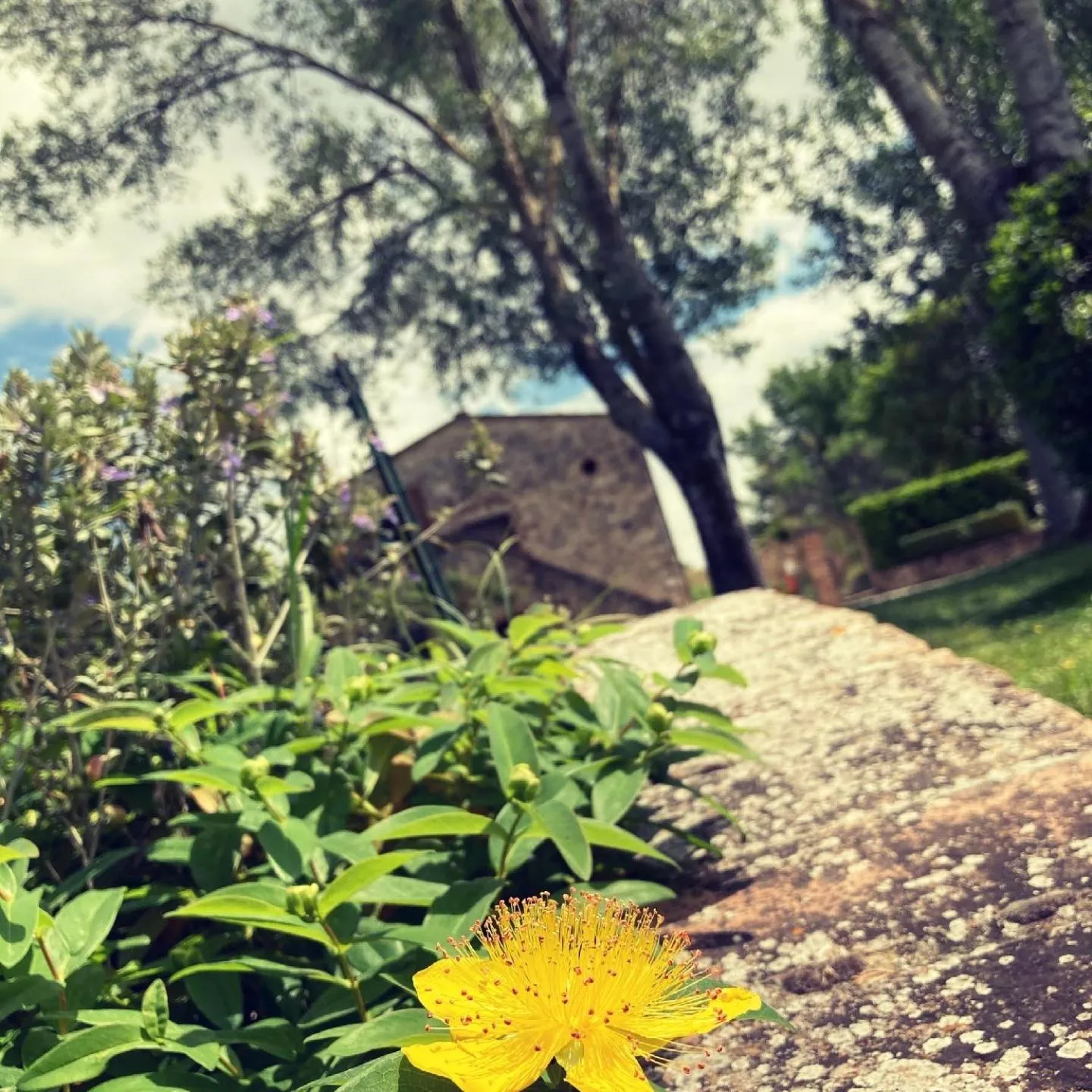 Garden in Podere La Chiusella B&B