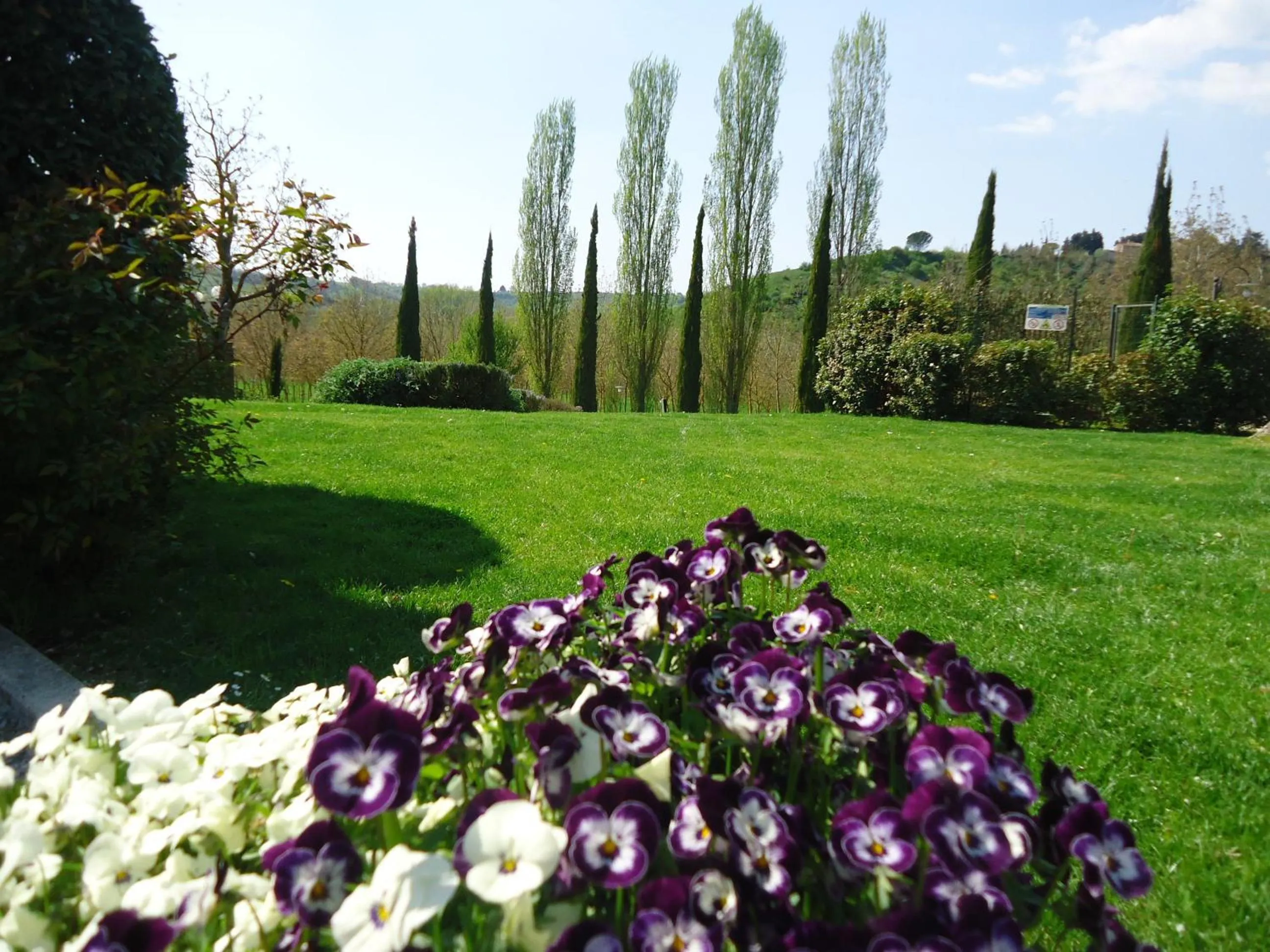 Garden in Podere La Chiusella B&B