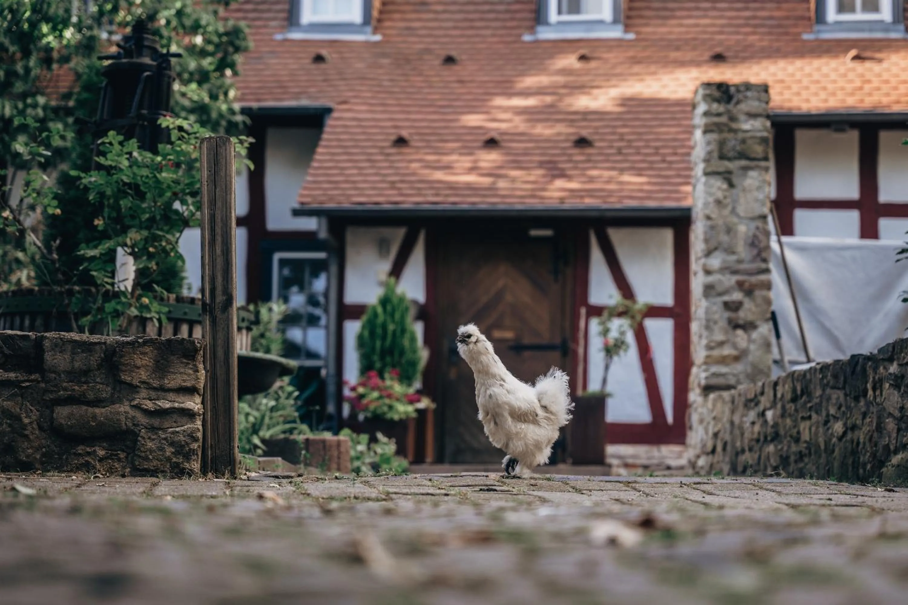 Jordan's Untermühle