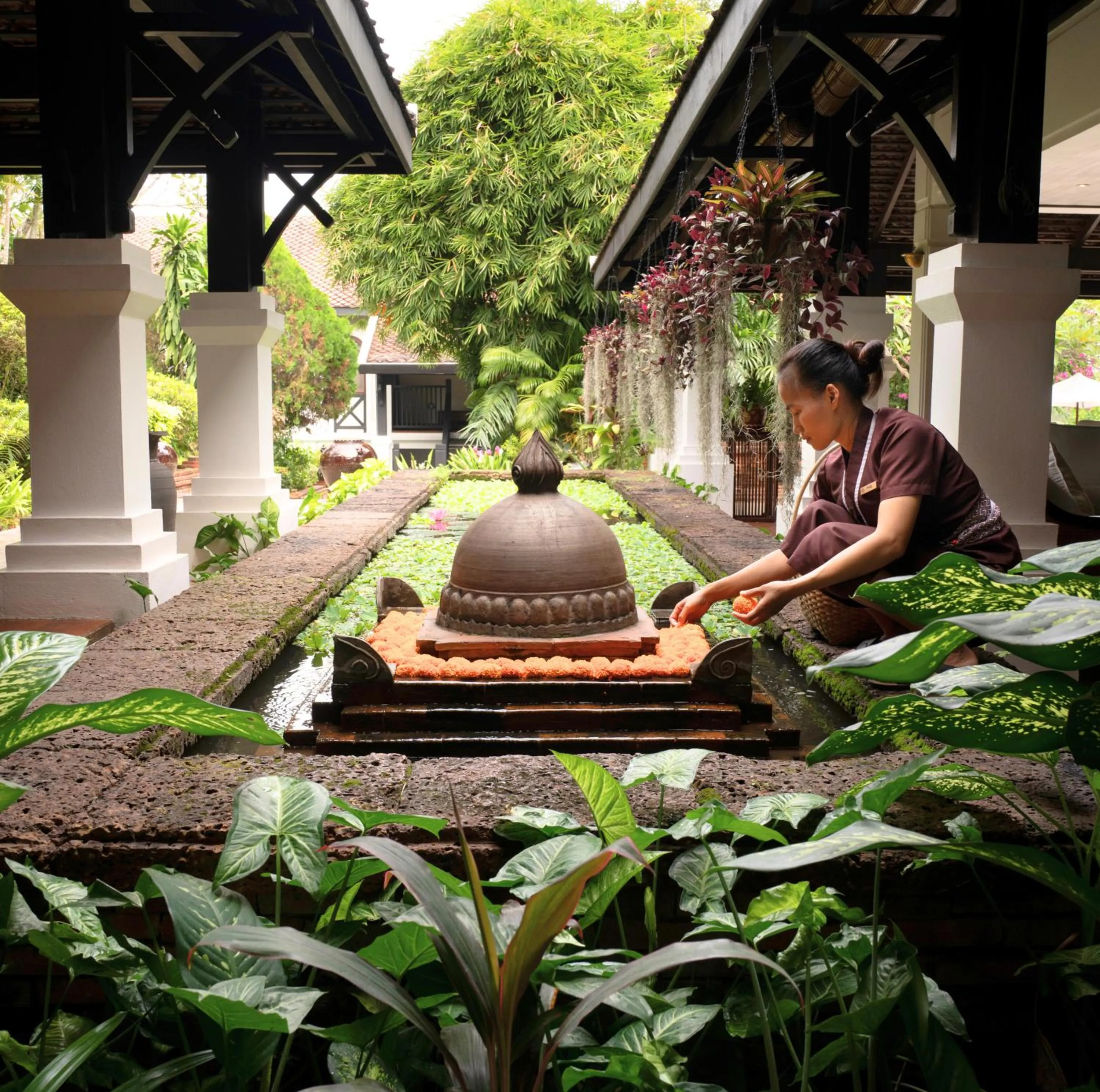 Natural landscape in La Résidence Phou Vao