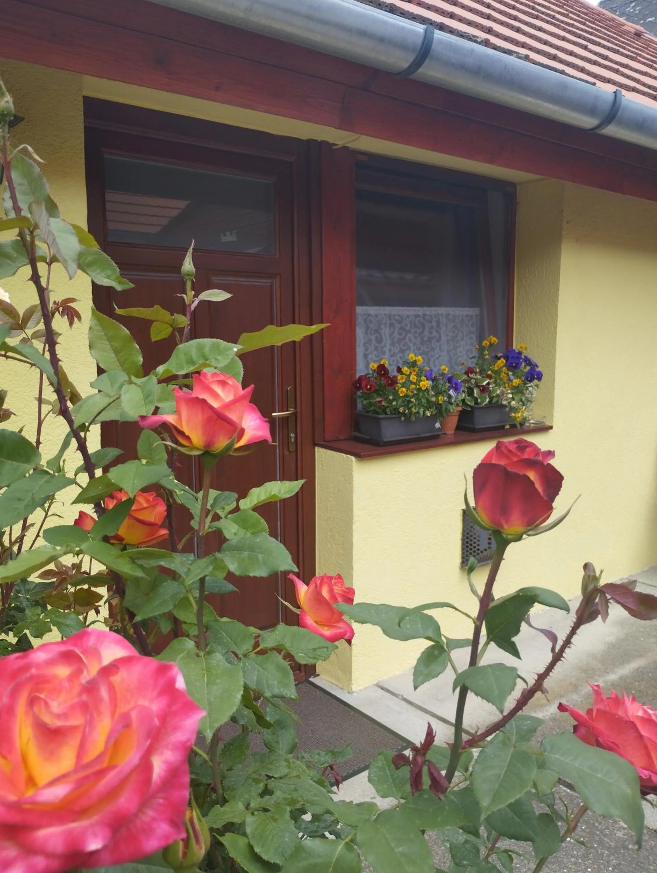 Kis Apartmanház