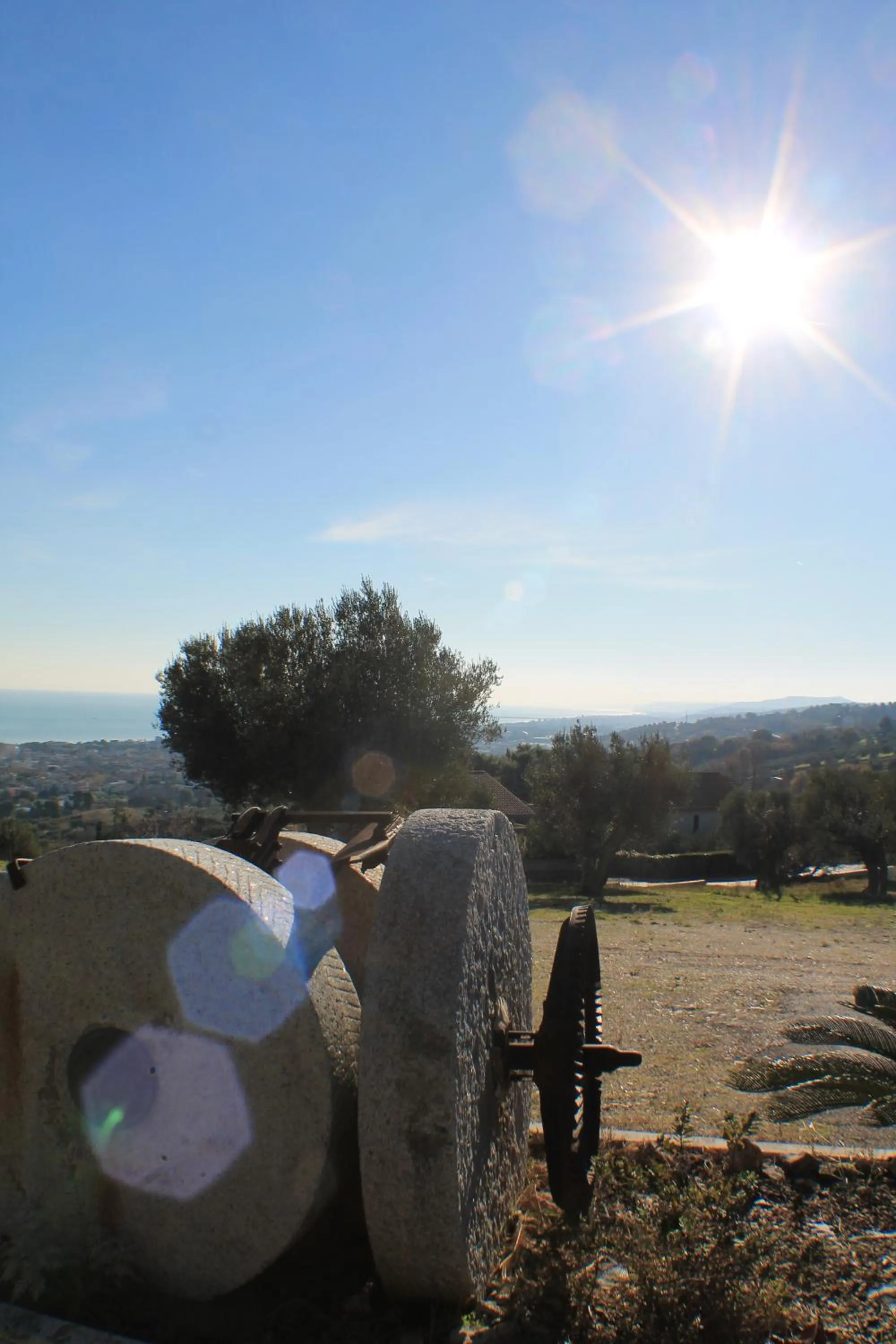 Sea view in Il Parco Sul Mare Resort & SPA