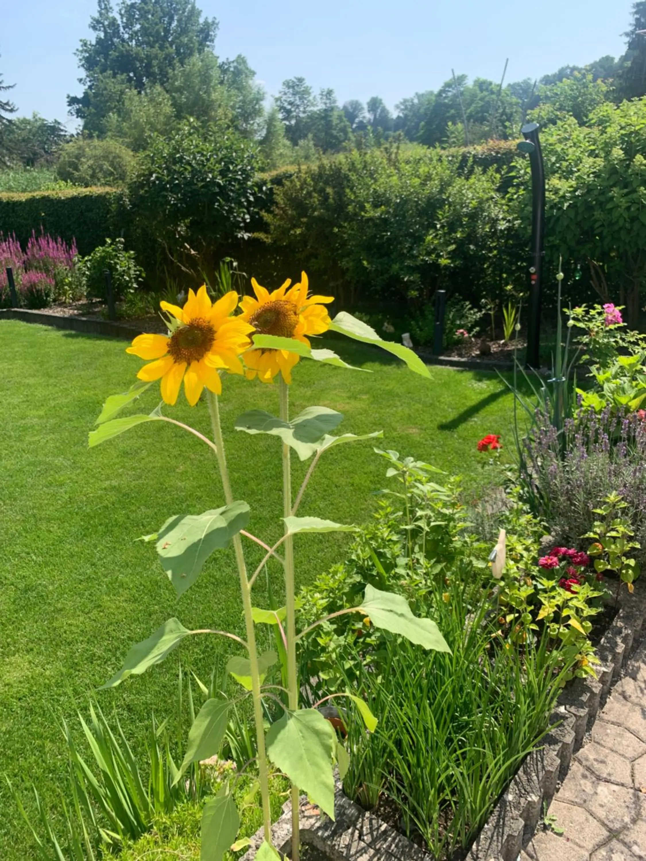 Garden in Gästehaus Am Radweg