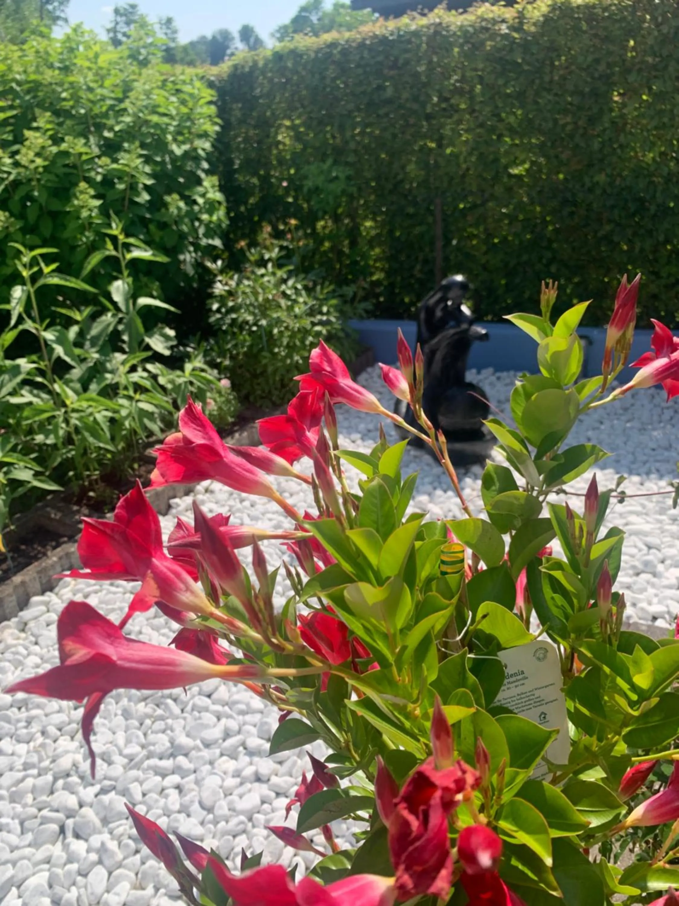 Garden in Gästehaus Am Radweg