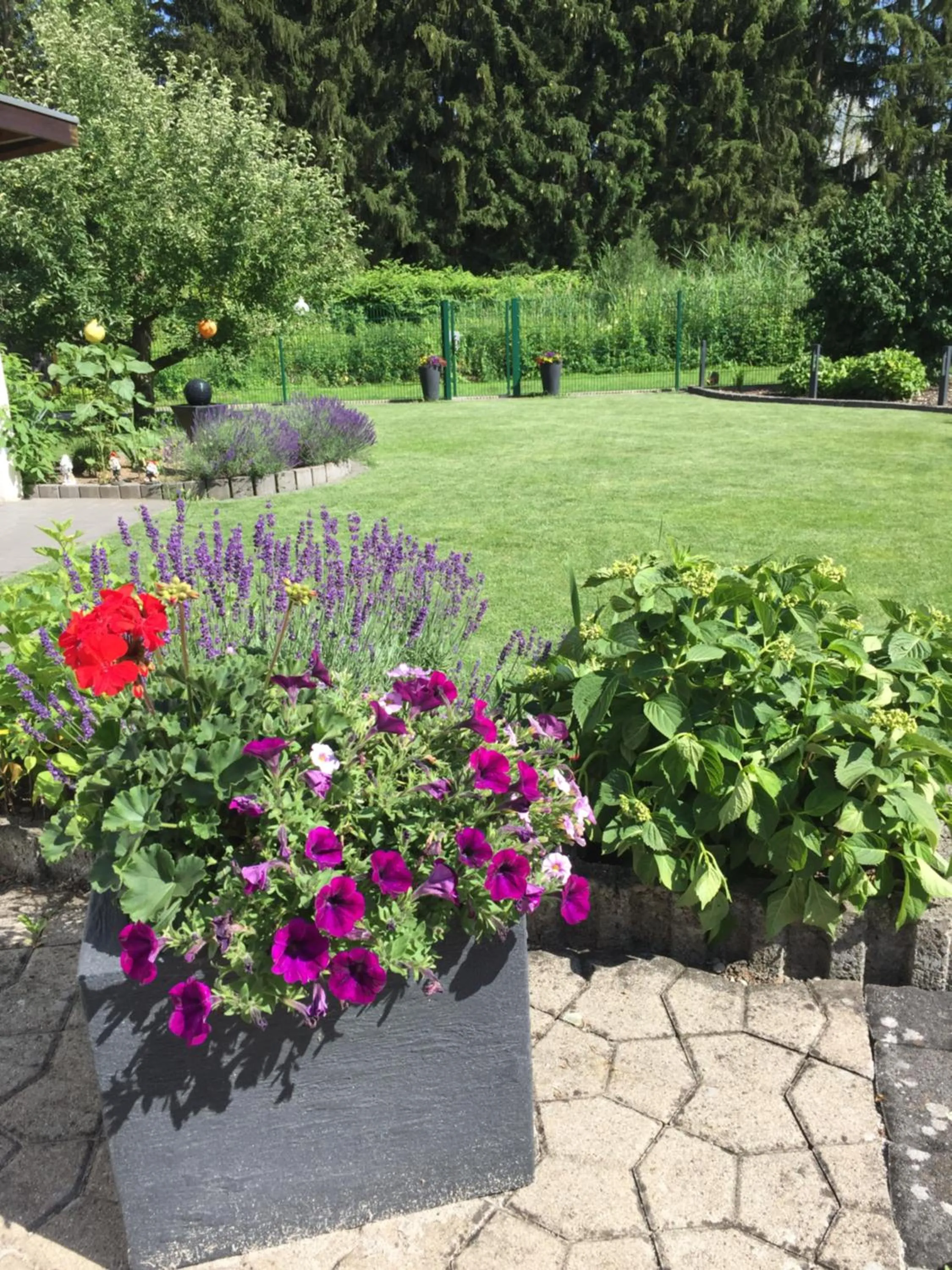 Garden in Gästehaus Am Radweg
