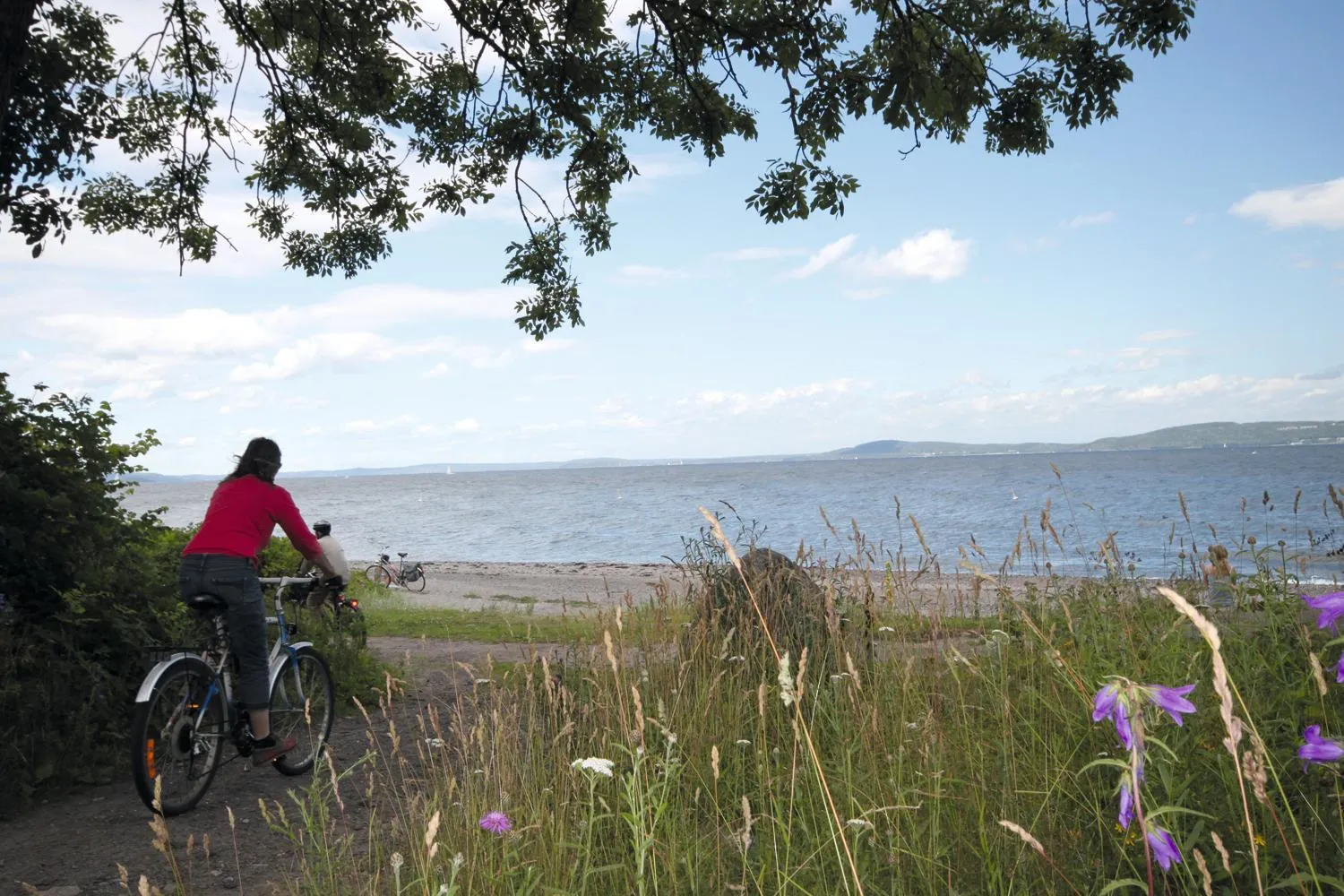 Natural landscape in Thon PartnerHotel Horten