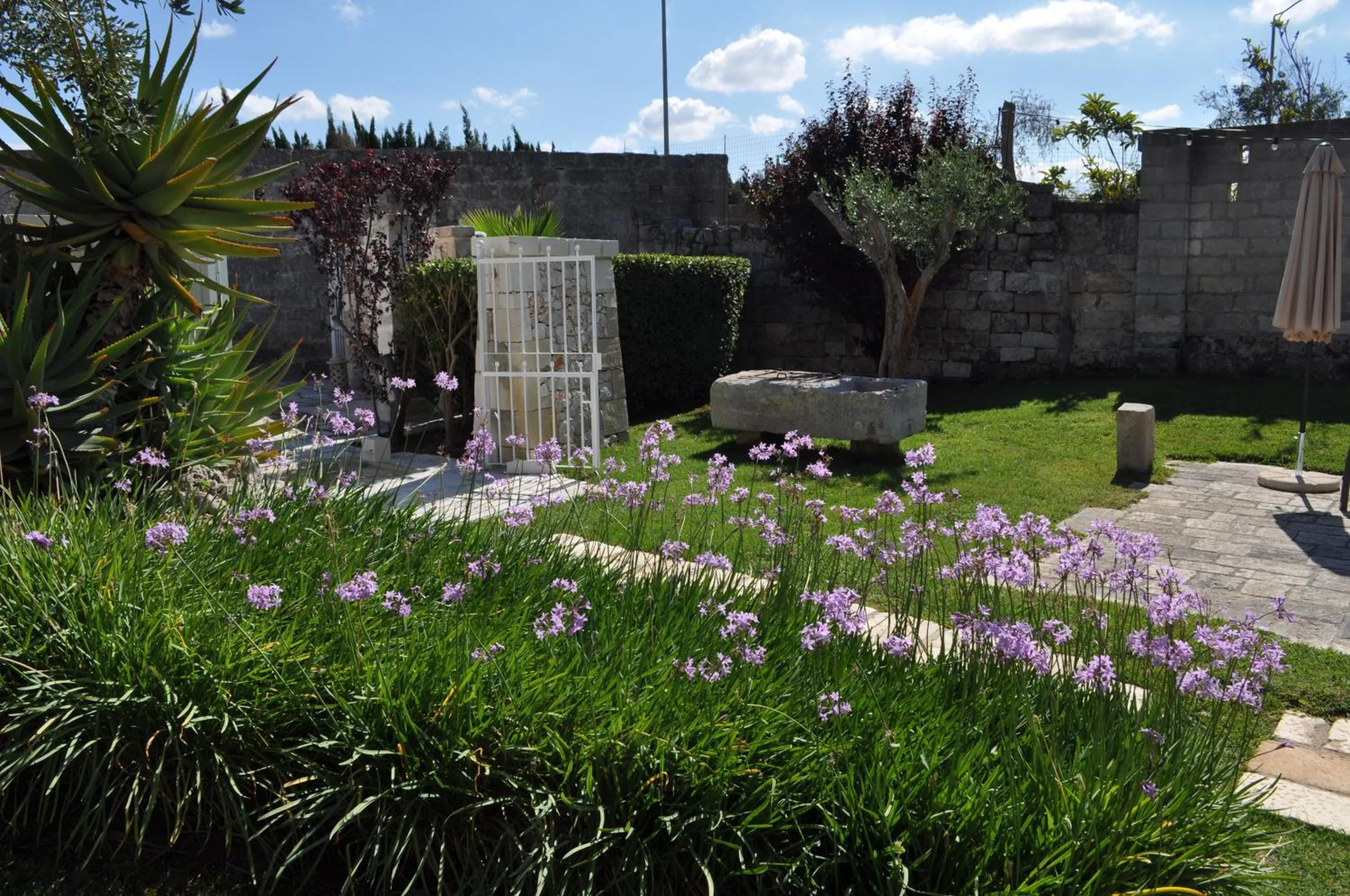 Garden in Villa Rosa Antico Dimora Storica