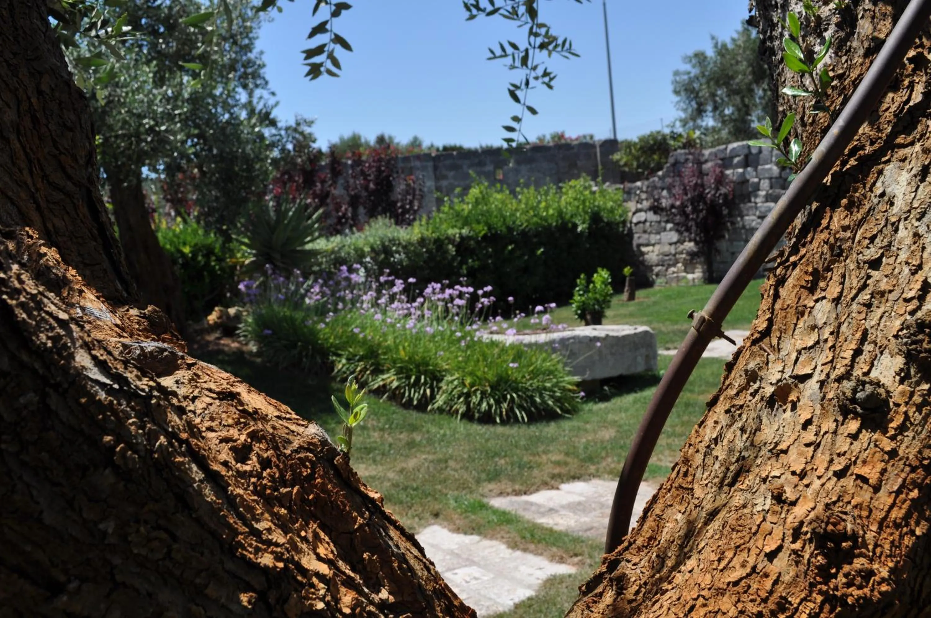 Garden in Villa Rosa Antico Dimora Storica