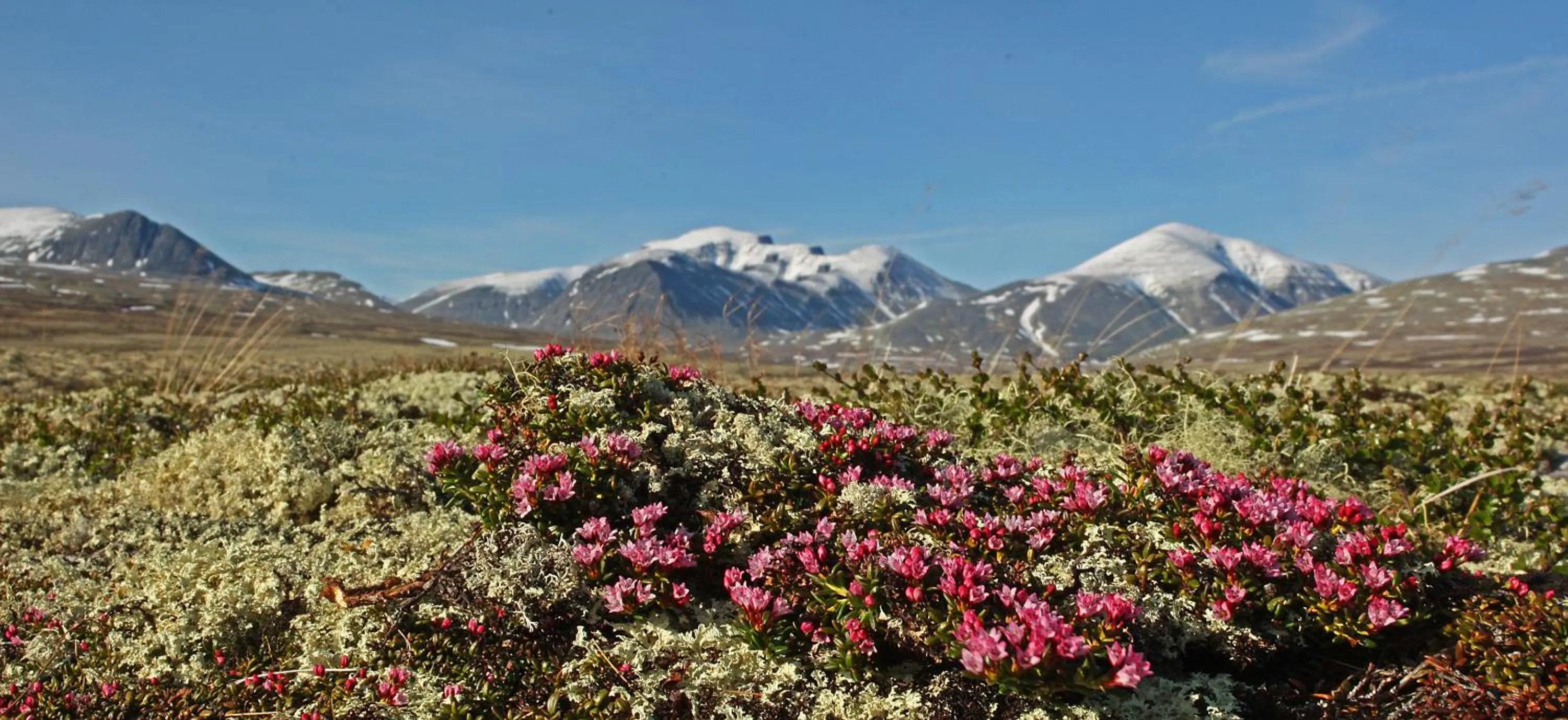 Natural landscape in Thon Partner Hotel Otta