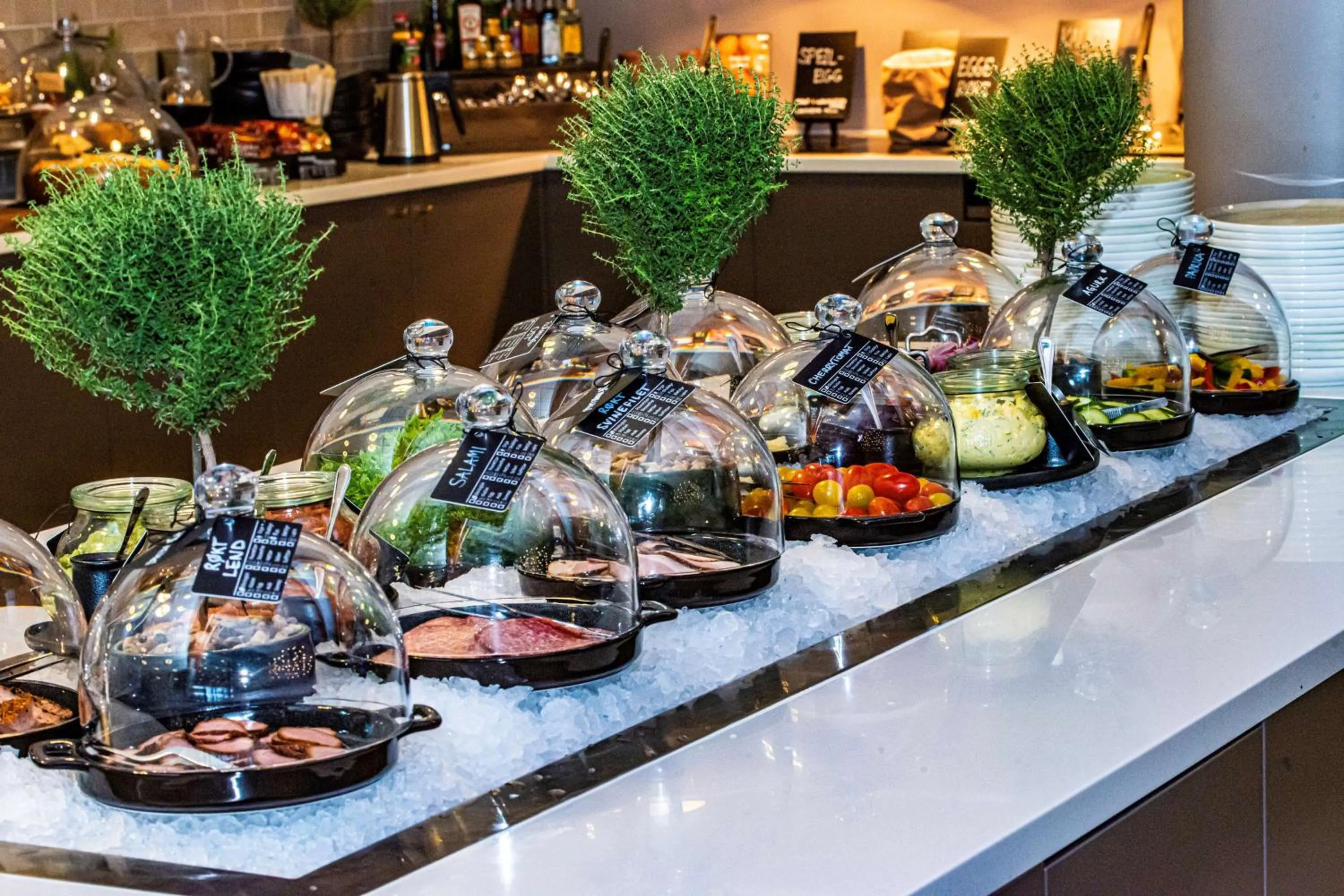 Food in Park Inn by Radisson Oslo Airport Hotel West