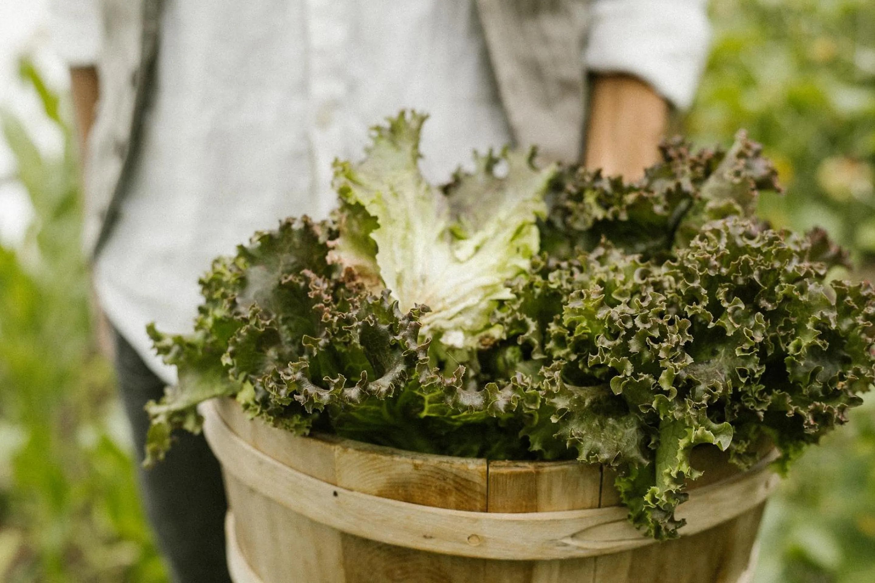 Garden in Agriturismo I Pini