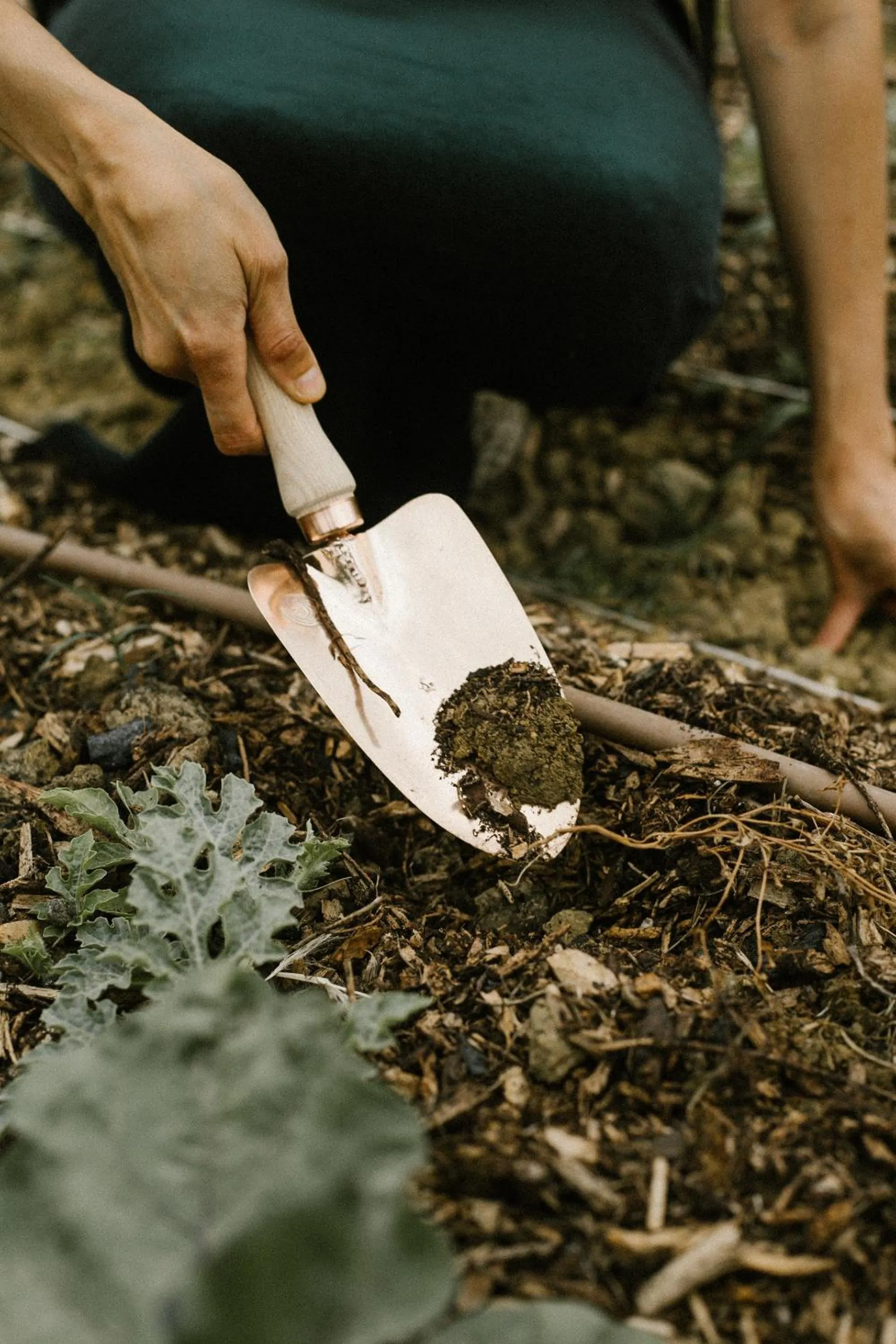 Garden in Agriturismo I Pini