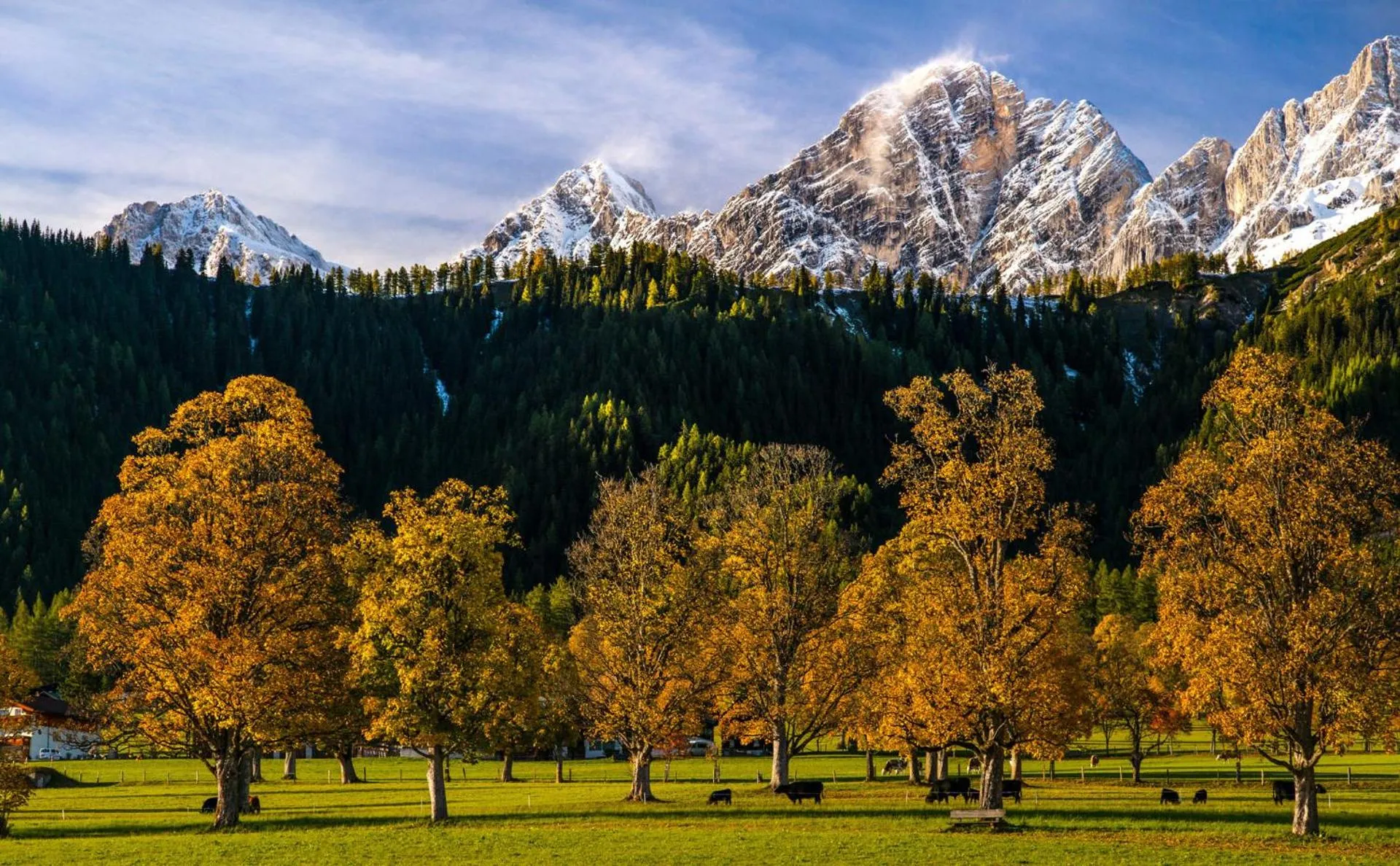 Autumn in Hotel Matschner