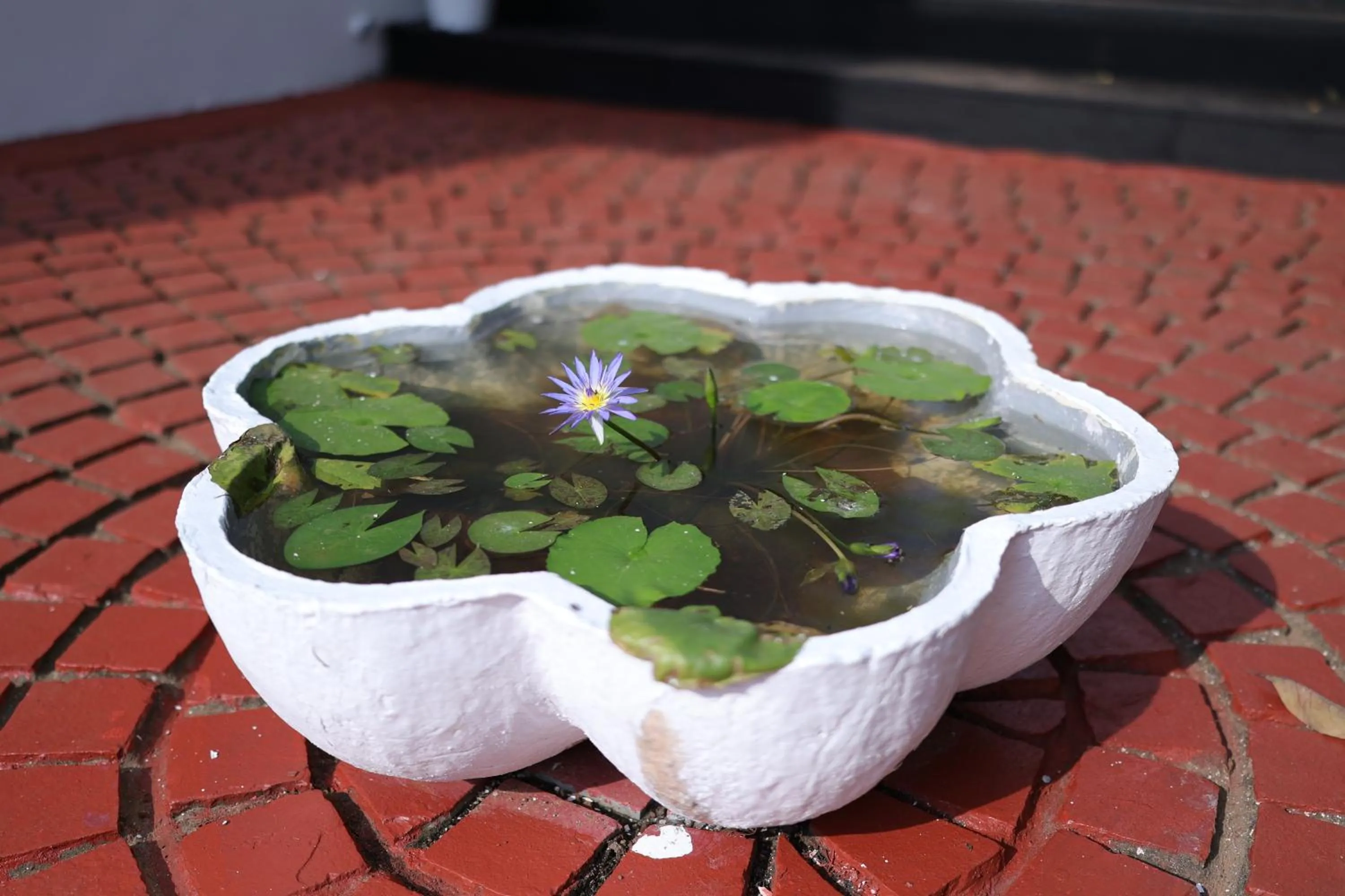 Property building in Casa Ahaana Resort Vagator, By Lavin Hotels