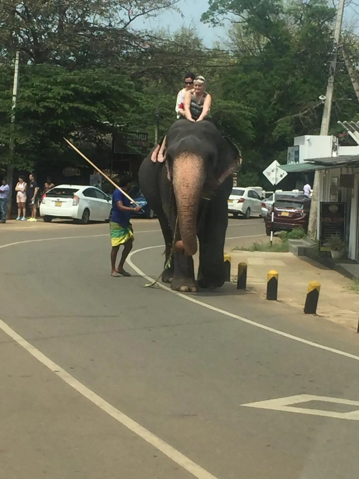 group of guests in Lucky Prince Villa & Ayurveda Wellness