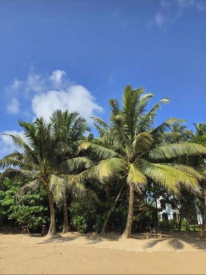 Natural landscape in Lucky Prince Villa & Ayurveda Wellness