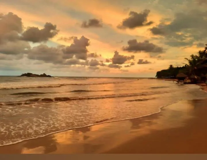 View (from property/room) in Lucky Prince Villa & Ayurveda Wellness