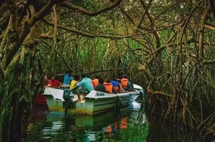 Activities in Lucky Prince Villa & Ayurveda Wellness