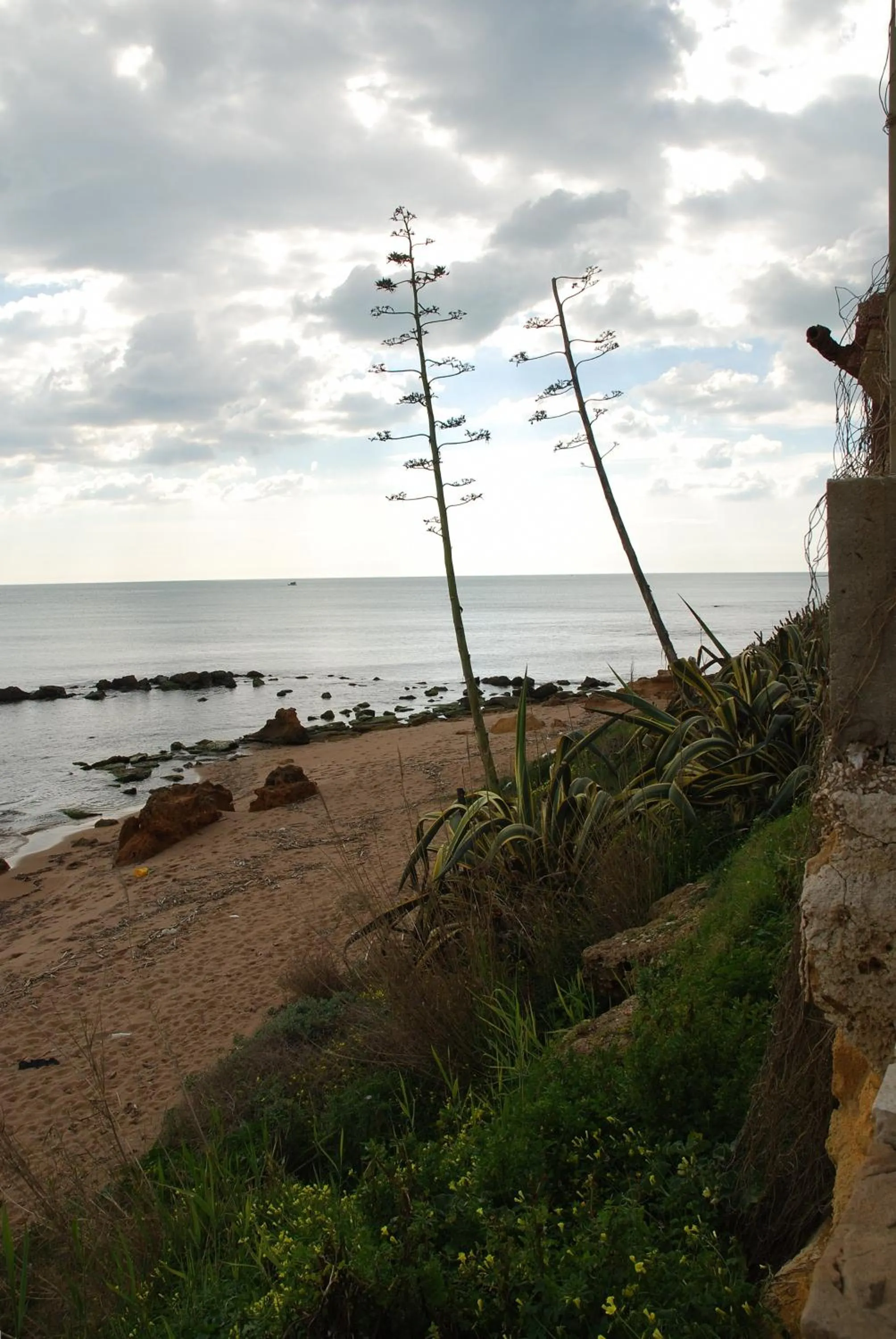 Area and facilities in Hotel Miramare Garzia