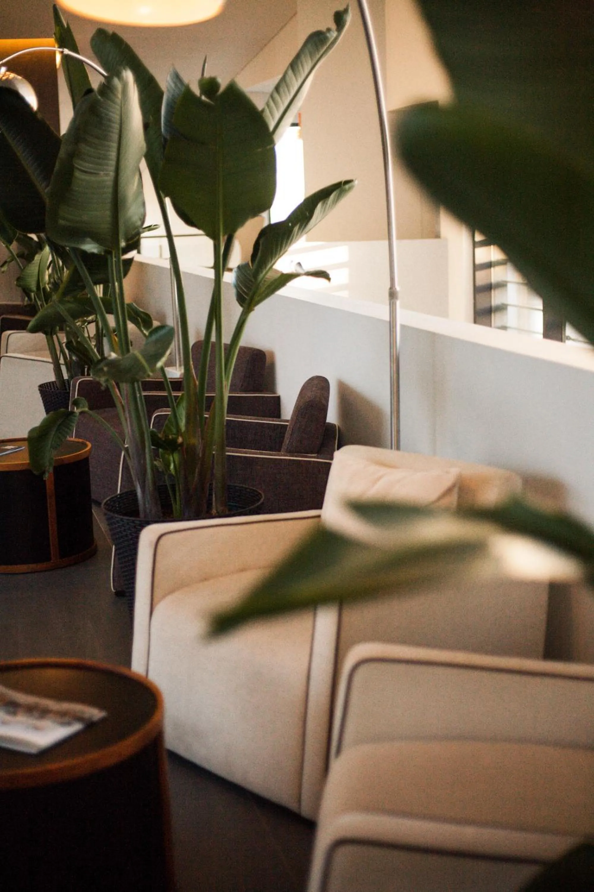 Lounge or bar in Monchique Resort & Spa