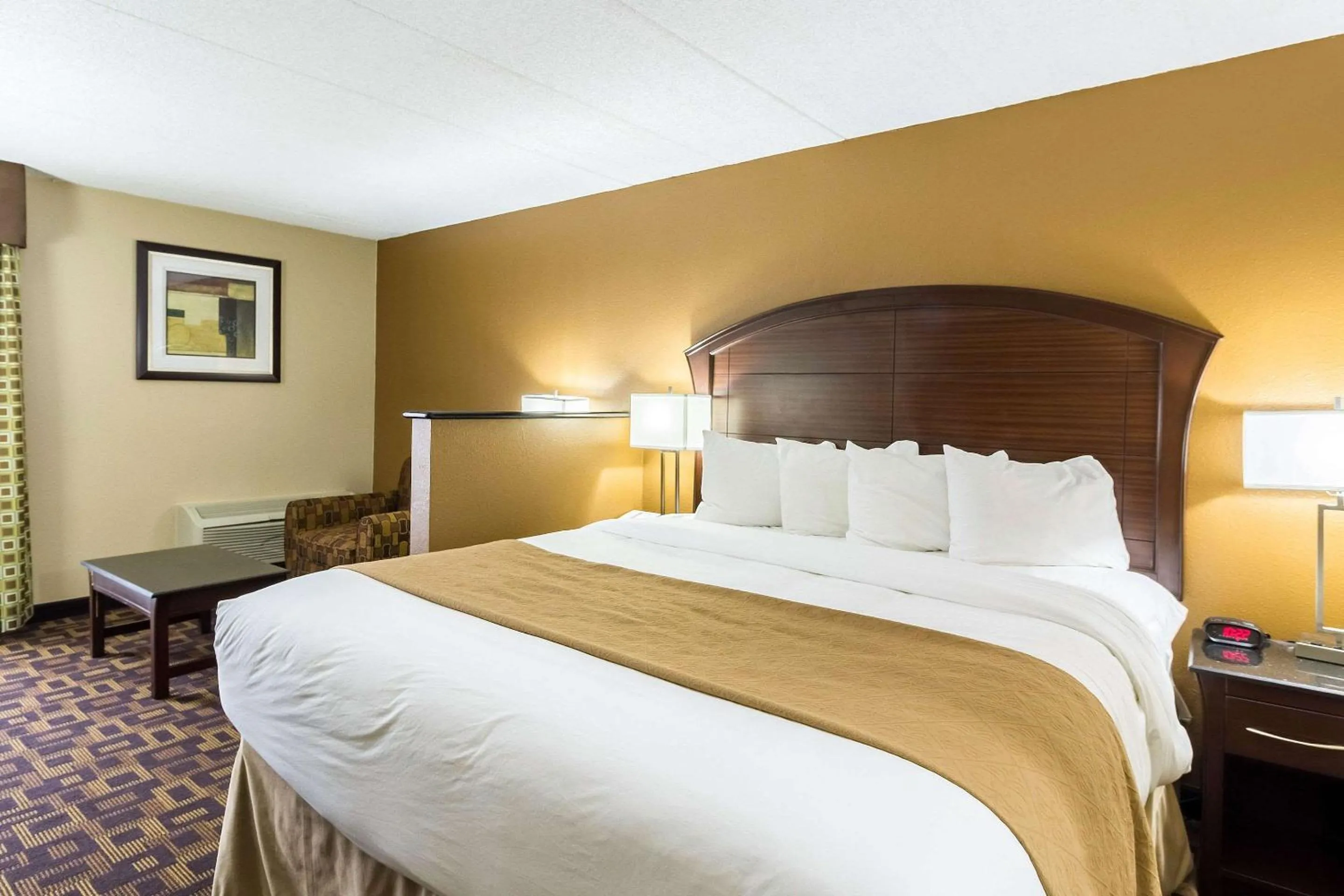 Photo of the whole room, Bed in Quality Inn & Suites Arden Hills - Saint Paul North