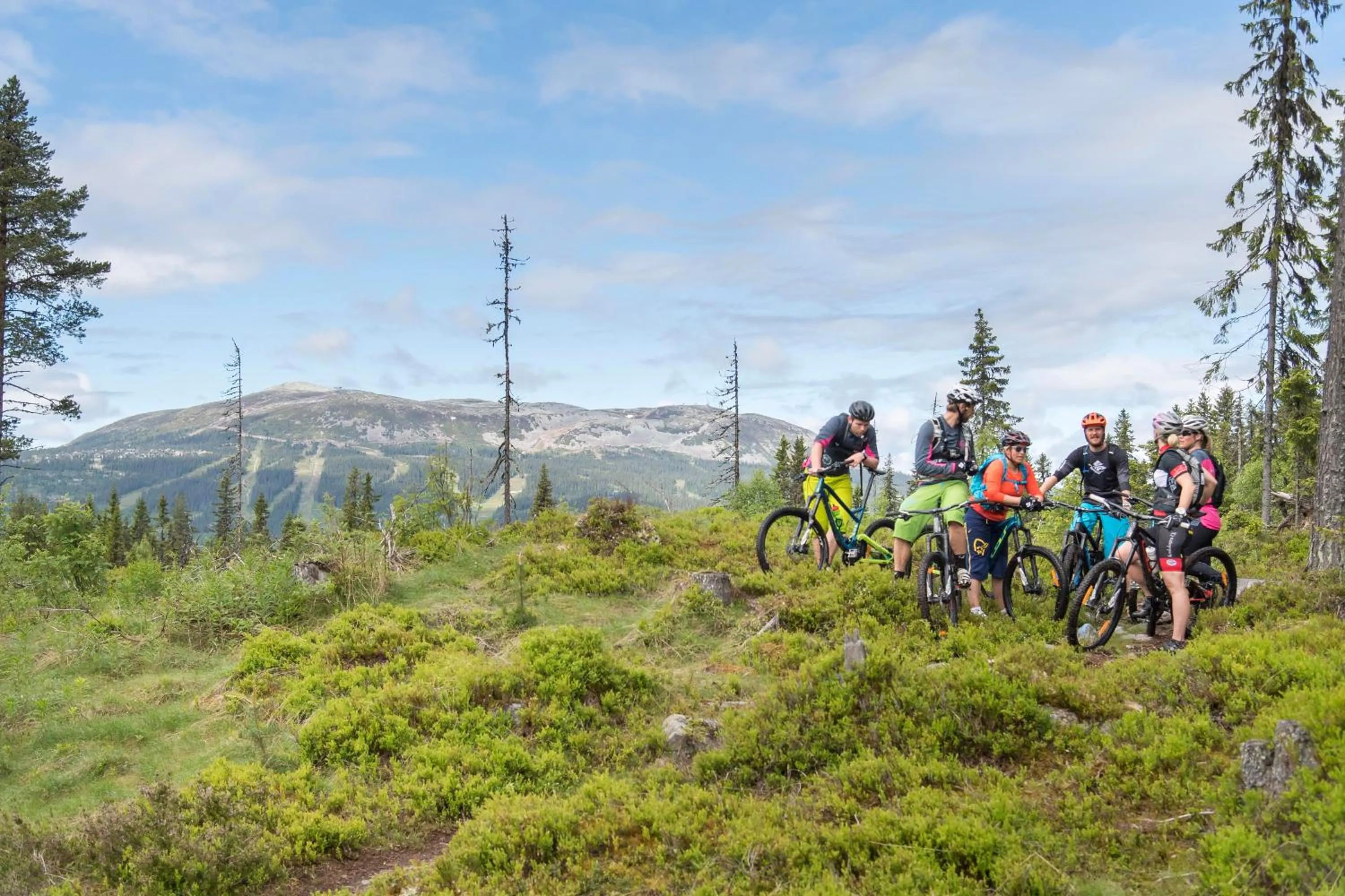 Off site in Trysil Hotel