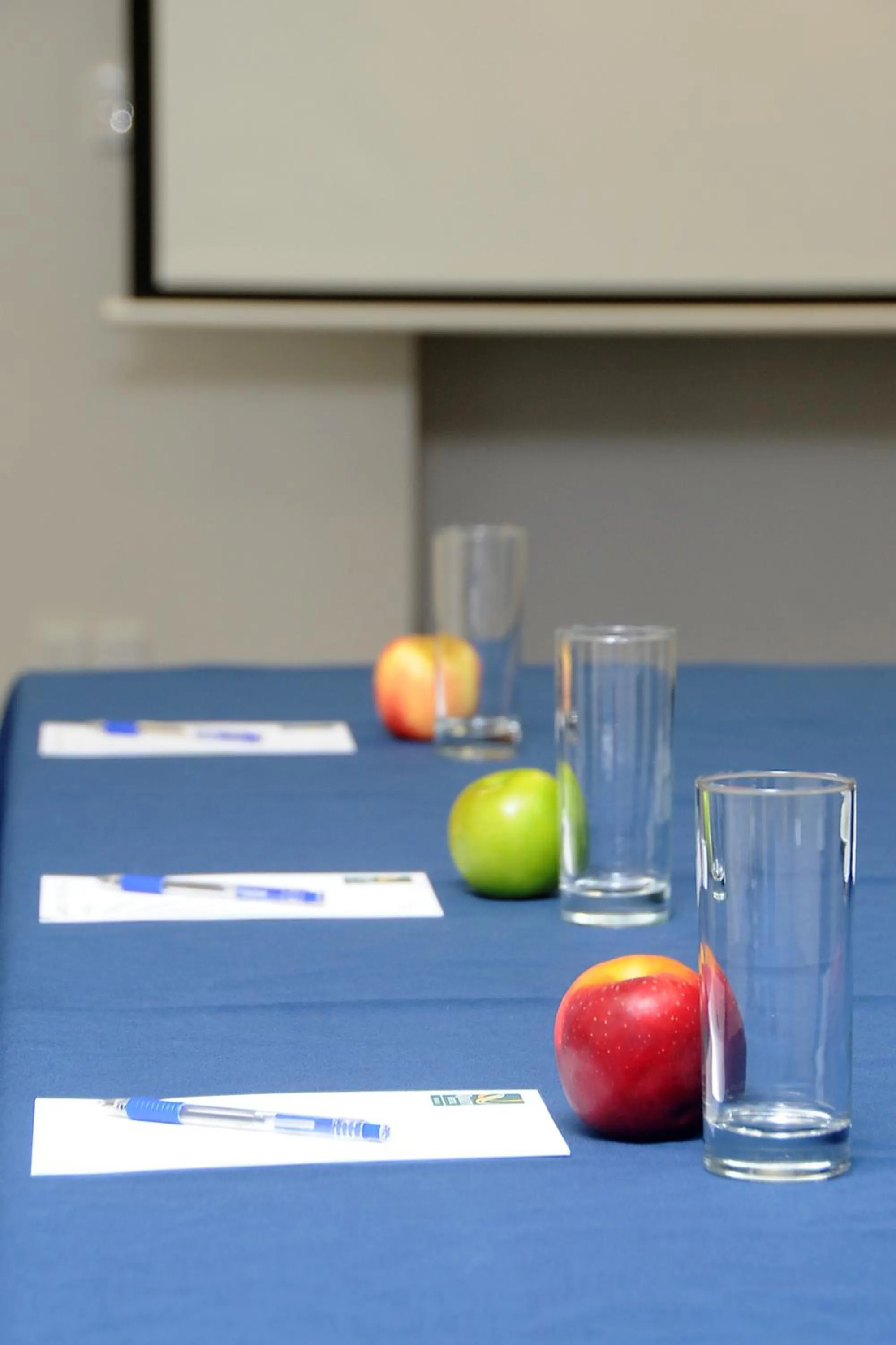 Business facilities in Emerald Hotel