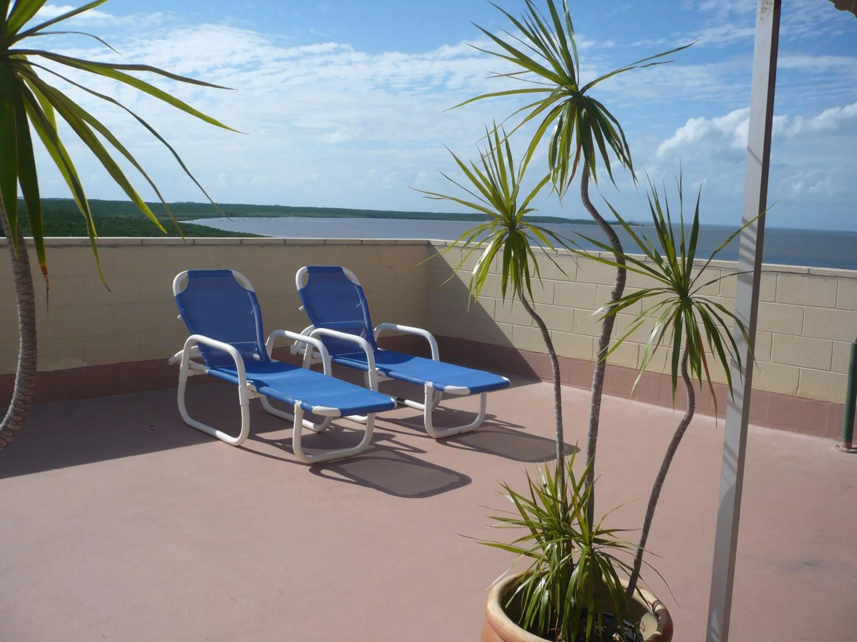Balcony/Terrace in Coral Towers Holiday Suites