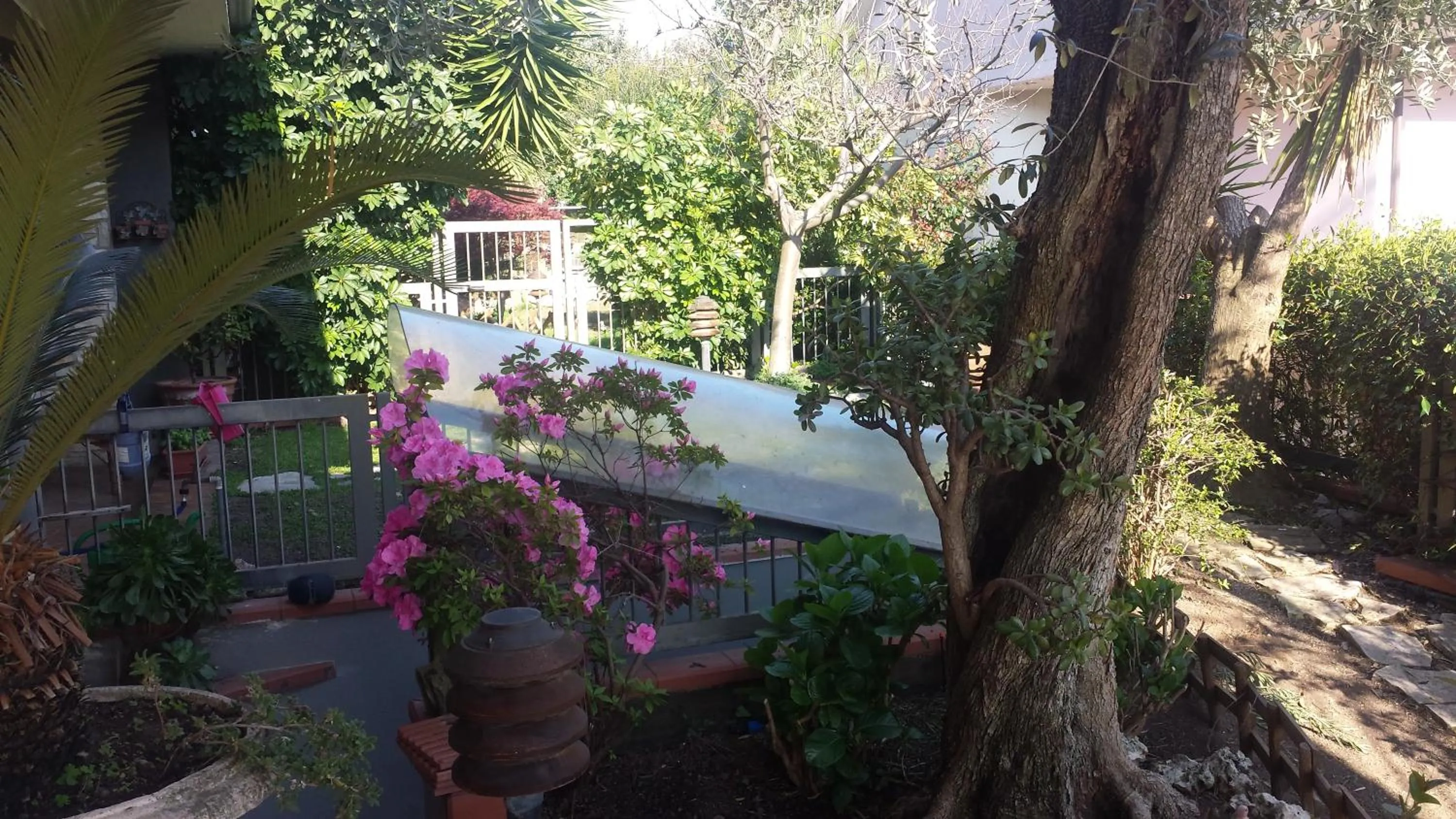 Garden in B&B Villa Noemi